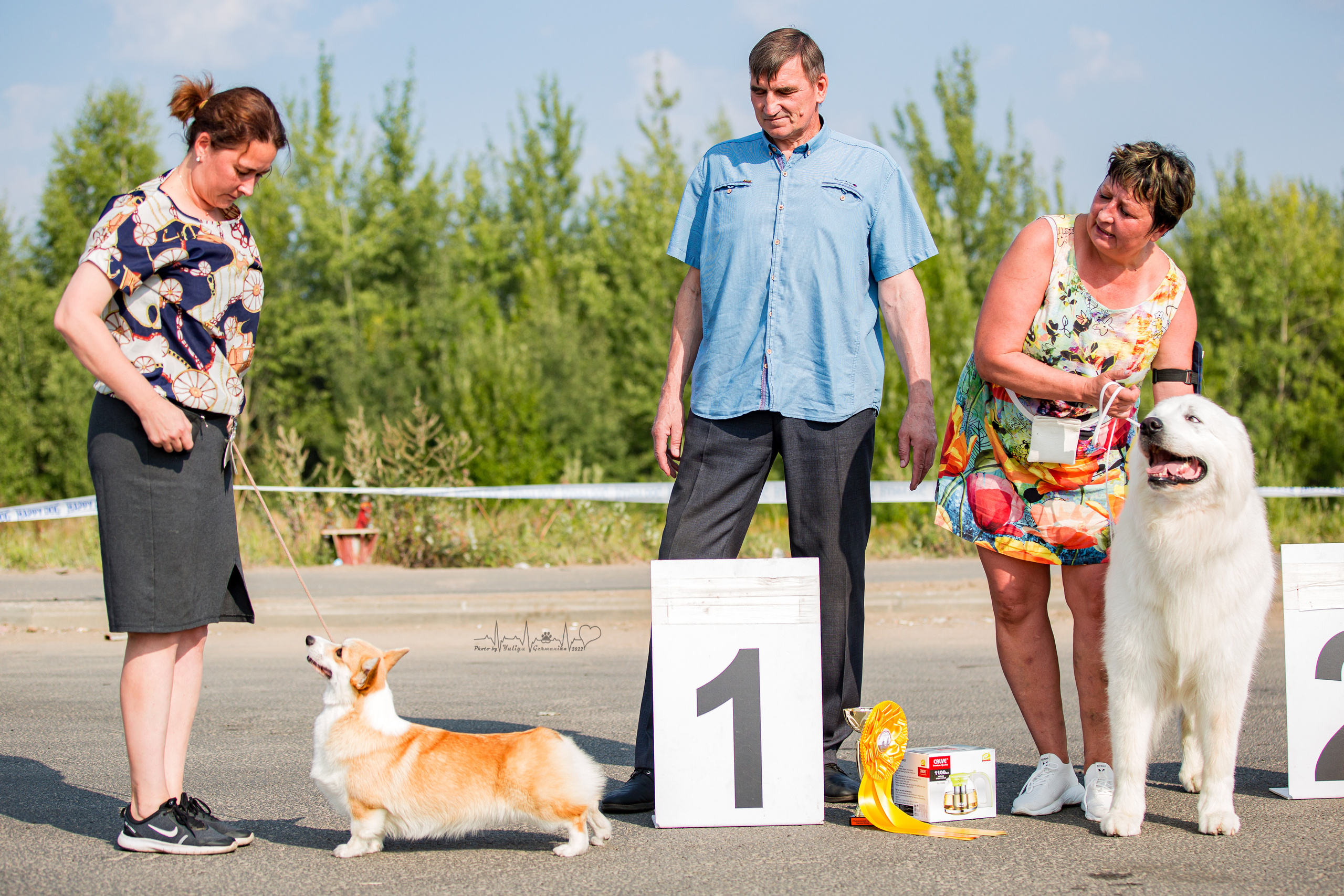 Сокольники 21.08,Сергиев Посад 27-28.08 2022. Фотограф-анималист Юлия Германика