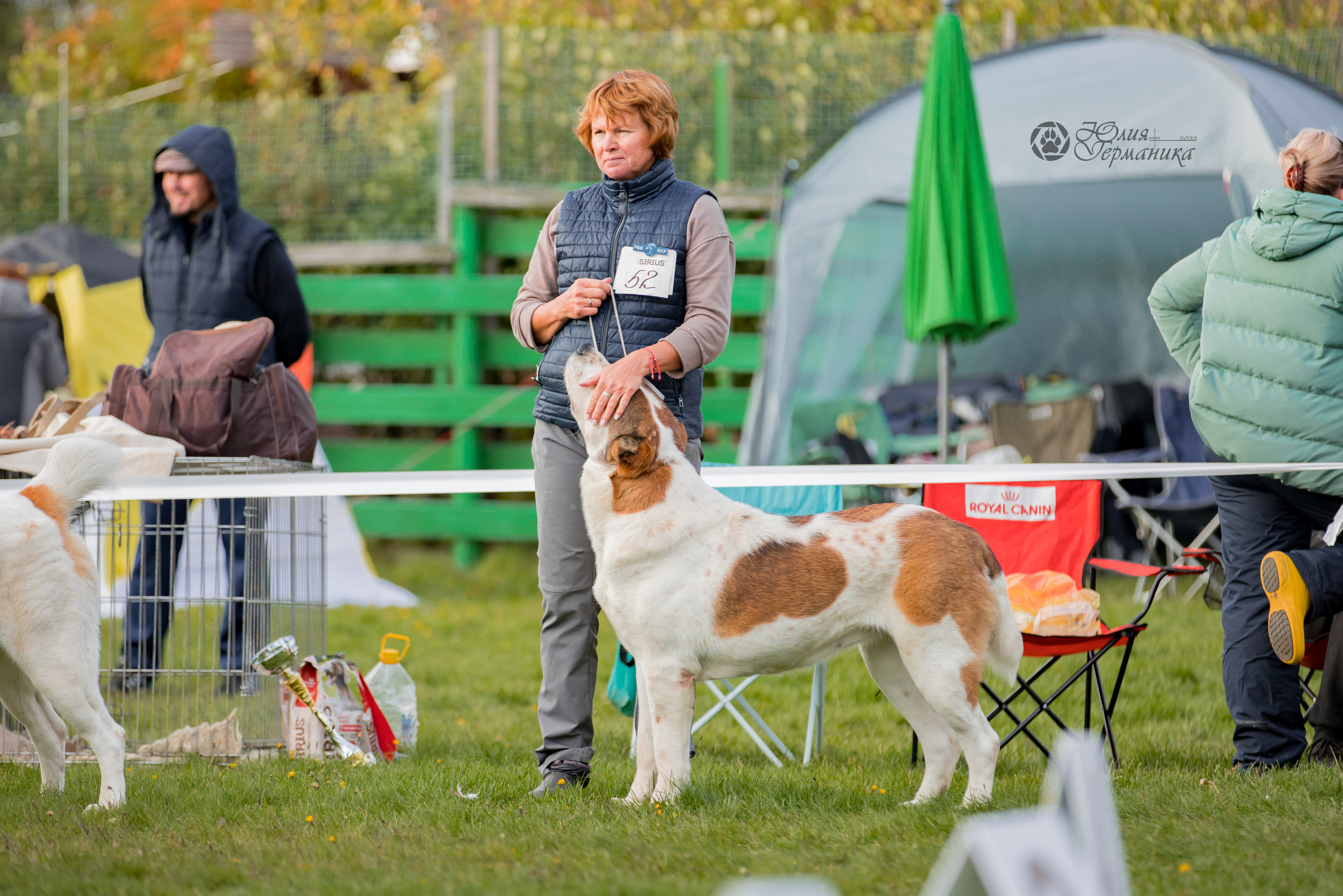 Александрова Слобода моно сао 2.10.2022. Фотограф-анималист Юлия Германика