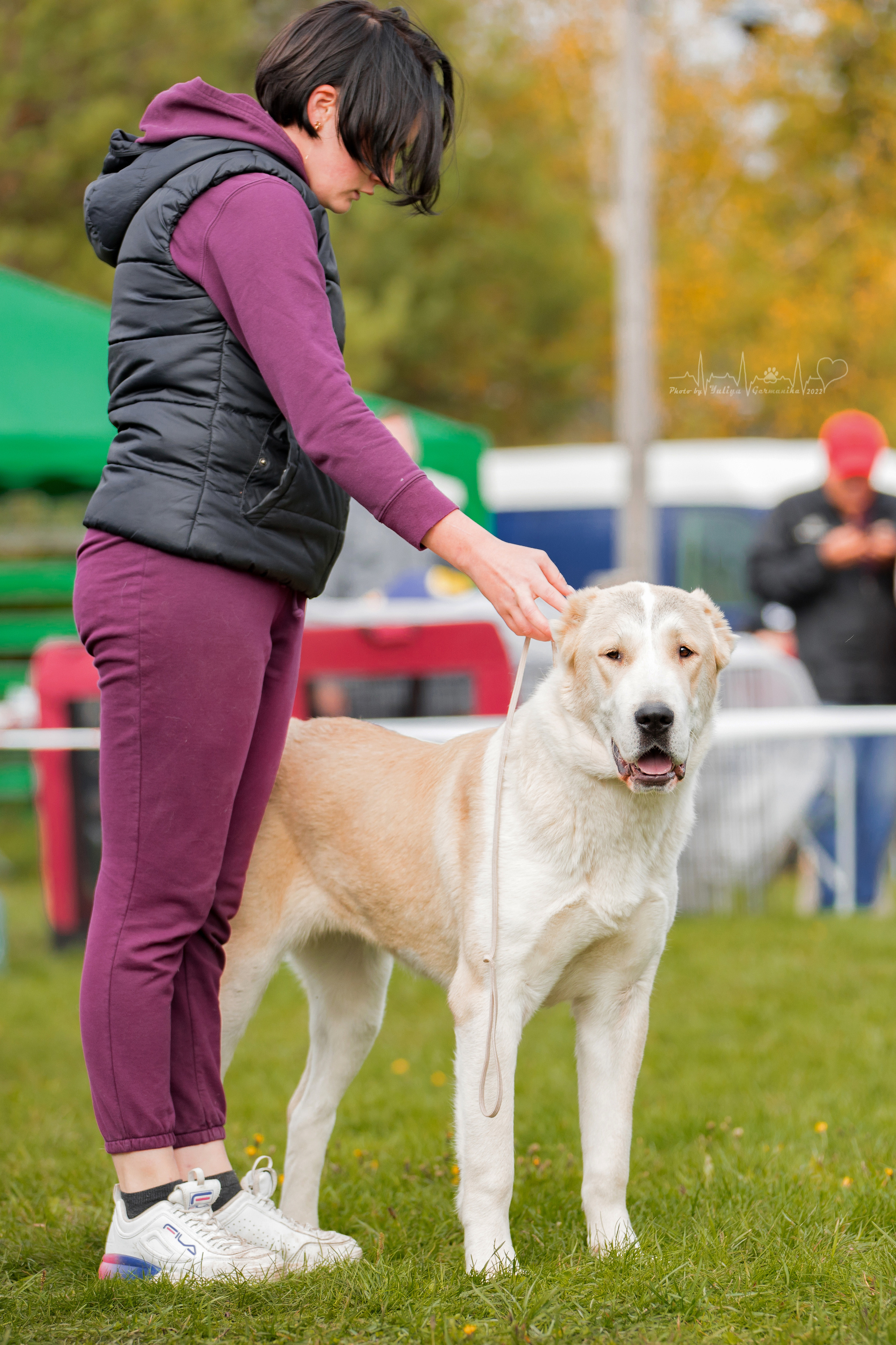 Александрова Слобода моно сао 2.10.2022. Фотограф-анималист Юлия Германика
