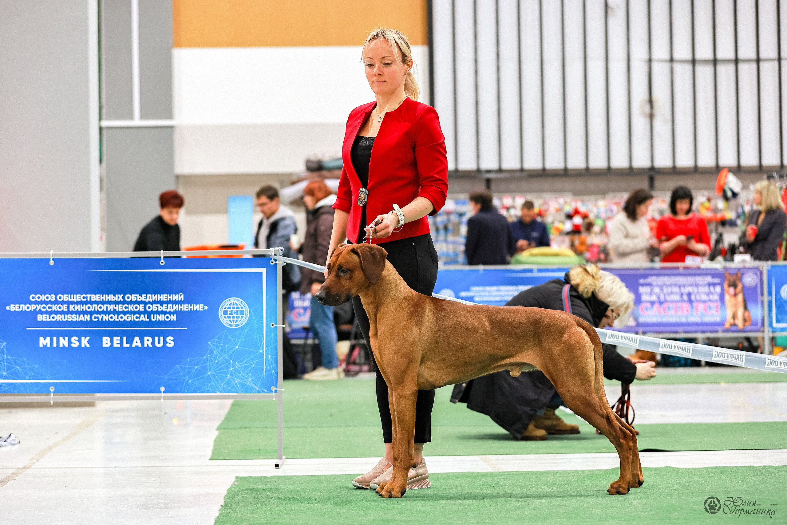 Минск 19-20.11.2022. Фотограф-анималист Юлия Германика