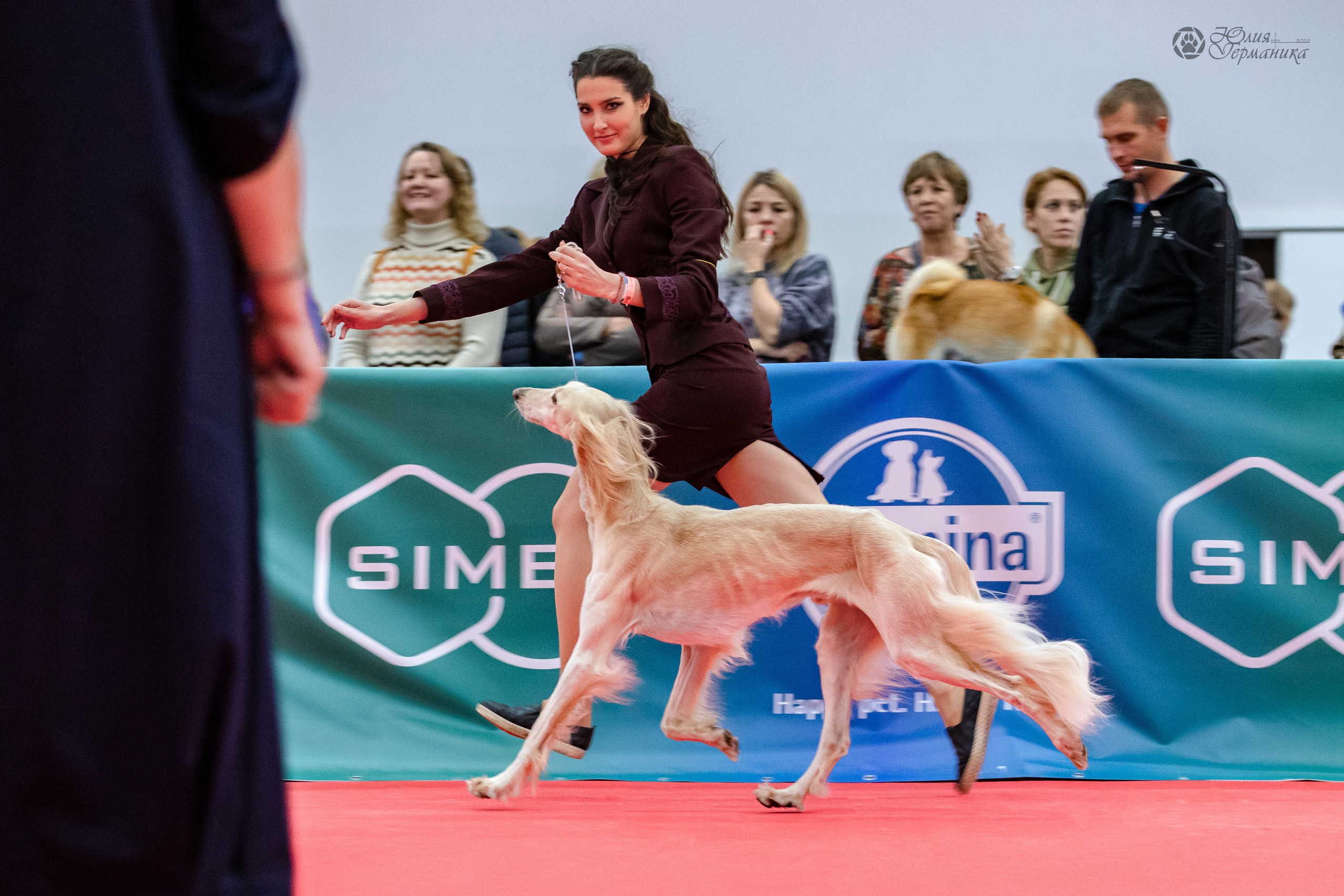Нижний Новгород 15-16.10.2022. Фотограф-анималист Юлия Германика