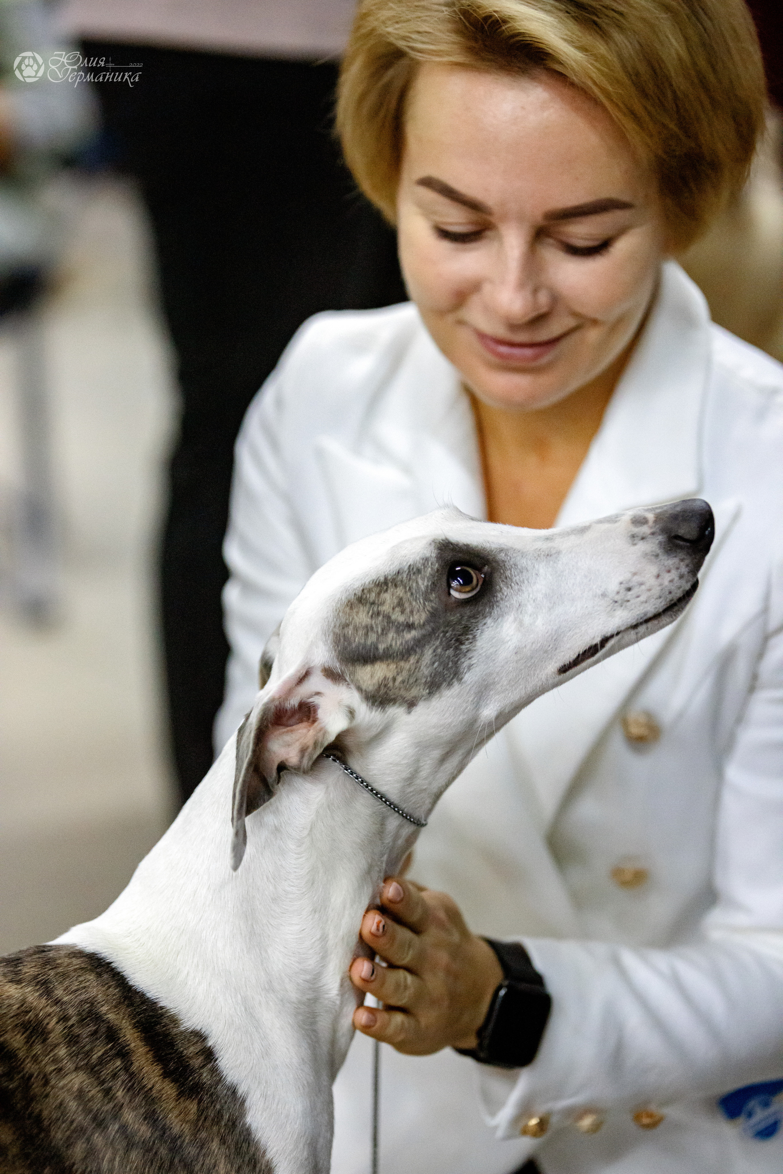 Чайна-Таун 3 и 12.11.2022. Фотограф-анималист Юлия Германика