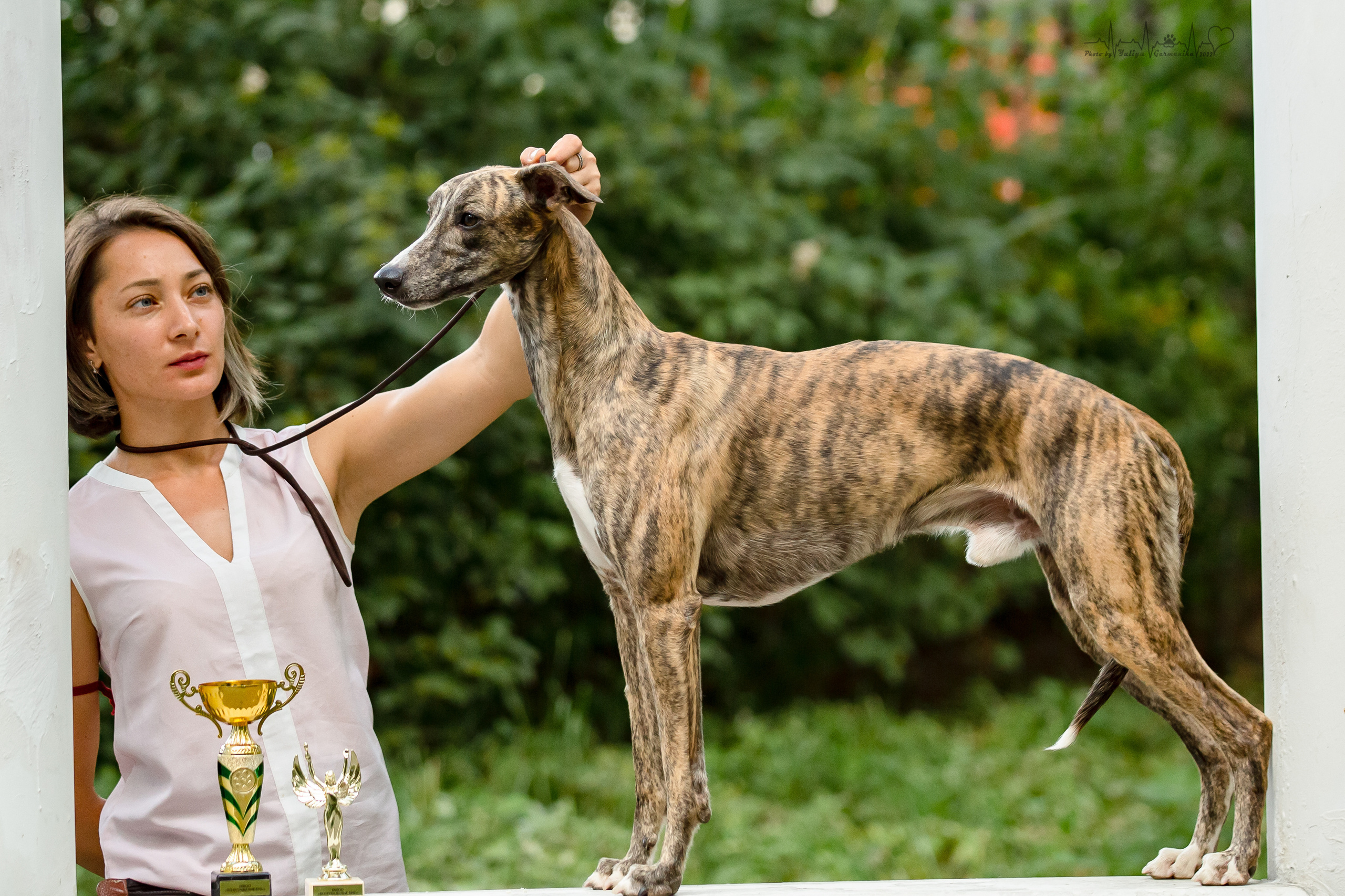 Ховрино фестиваль монопородок 14.08.2022. Фотограф-анималист Юлия Германика