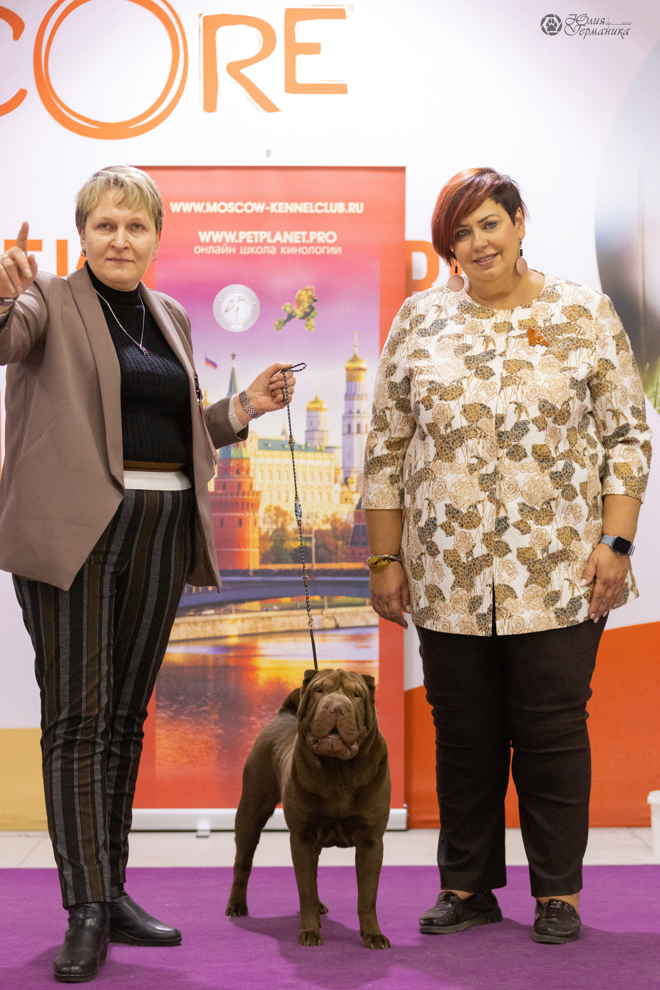 Чайна-Таун 3 и 12.11.2022. Фотограф-анималист Юлия Германика