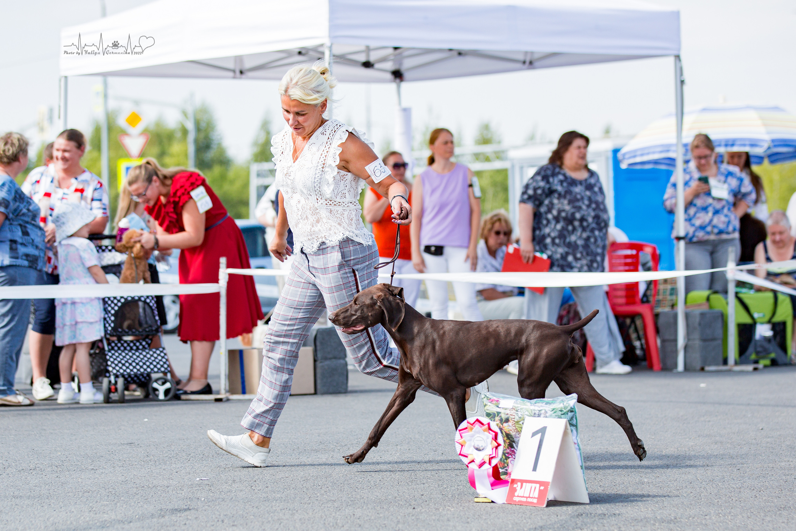 Сокольники 21.08,Сергиев Посад 27-28.08 2022. Фотограф-анималист Юлия Германика