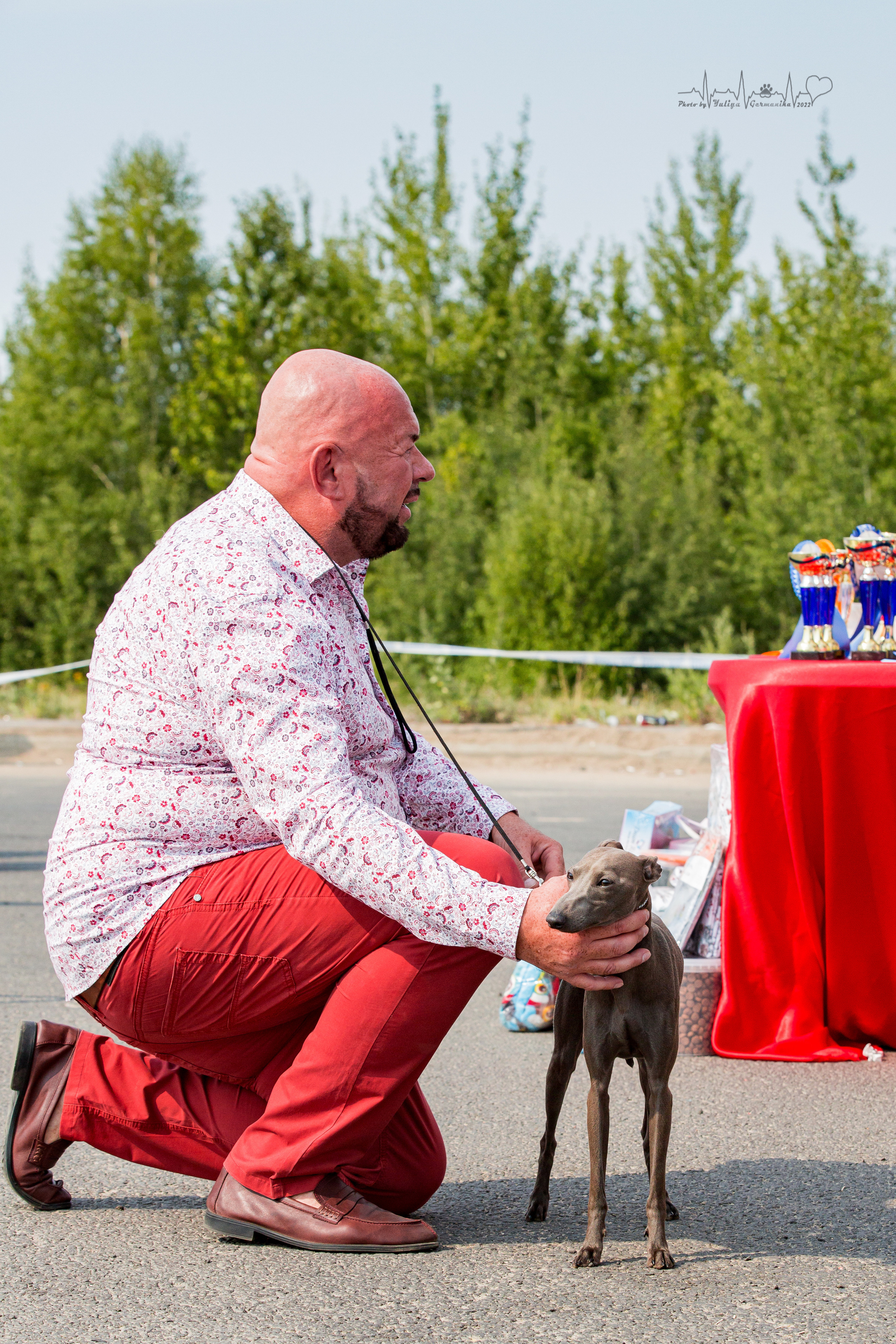 Сокольники 21.08,Сергиев Посад 27-28.08 2022. Фотограф-анималист Юлия Германика