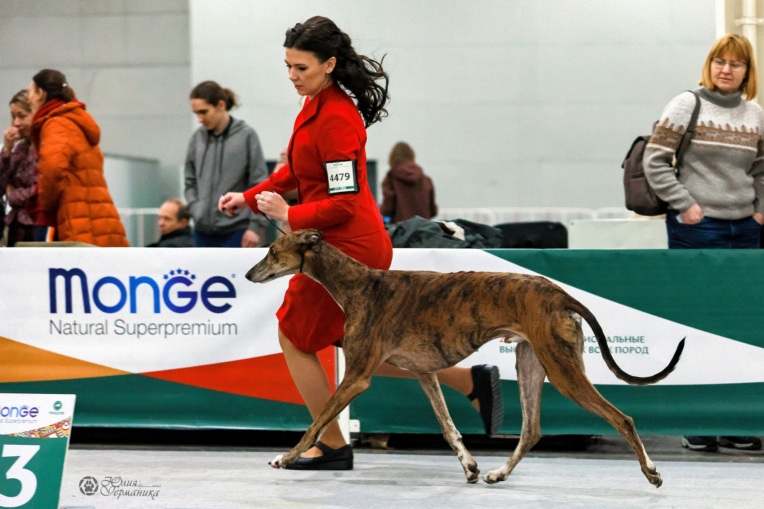 Россия 2020-2022 26-27.11.2022. Фотограф-анималист Юлия Германика