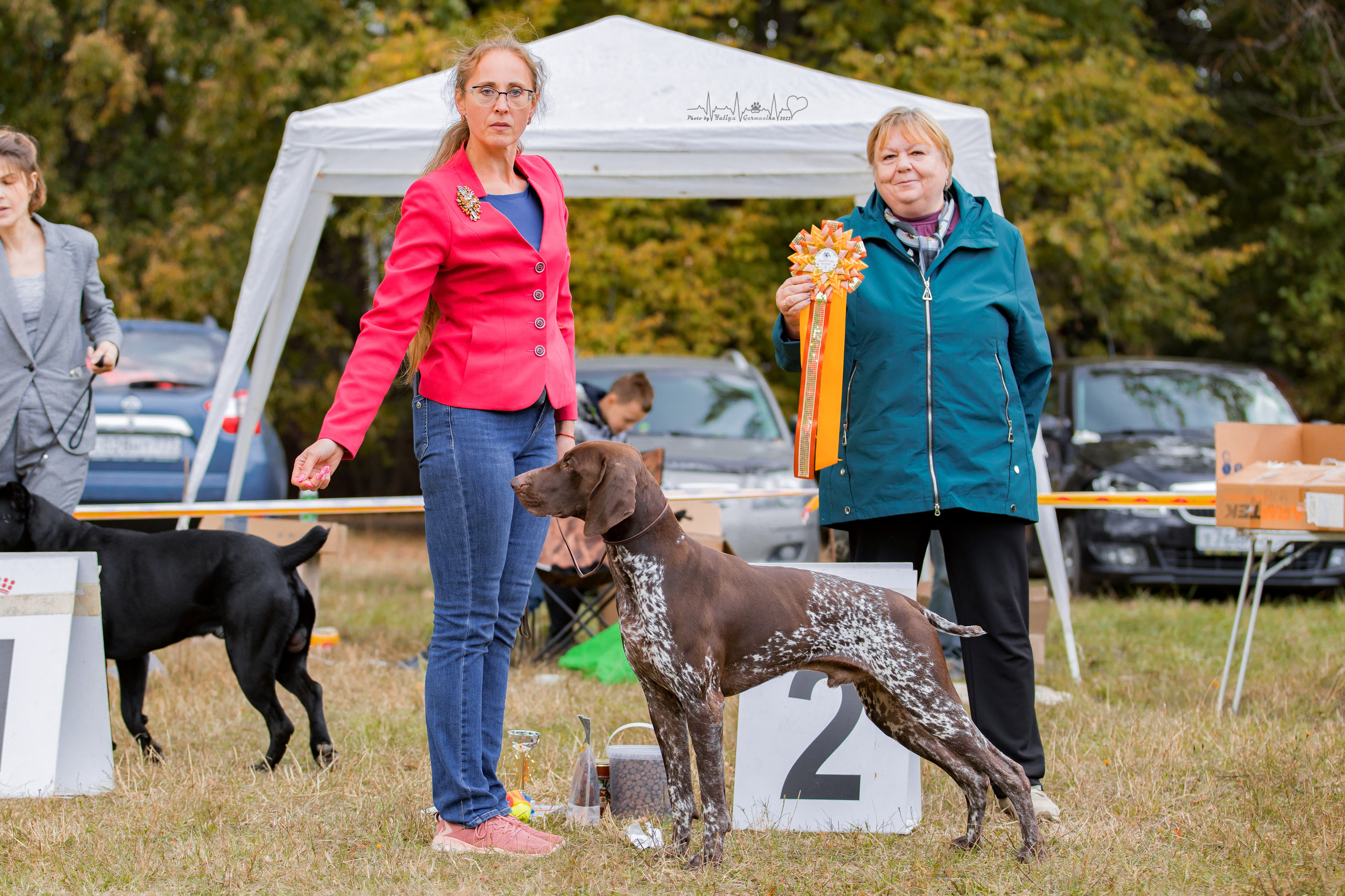 Пушкино ЧРКФ 17.09.2022. Фотограф-анималист Юлия Германика