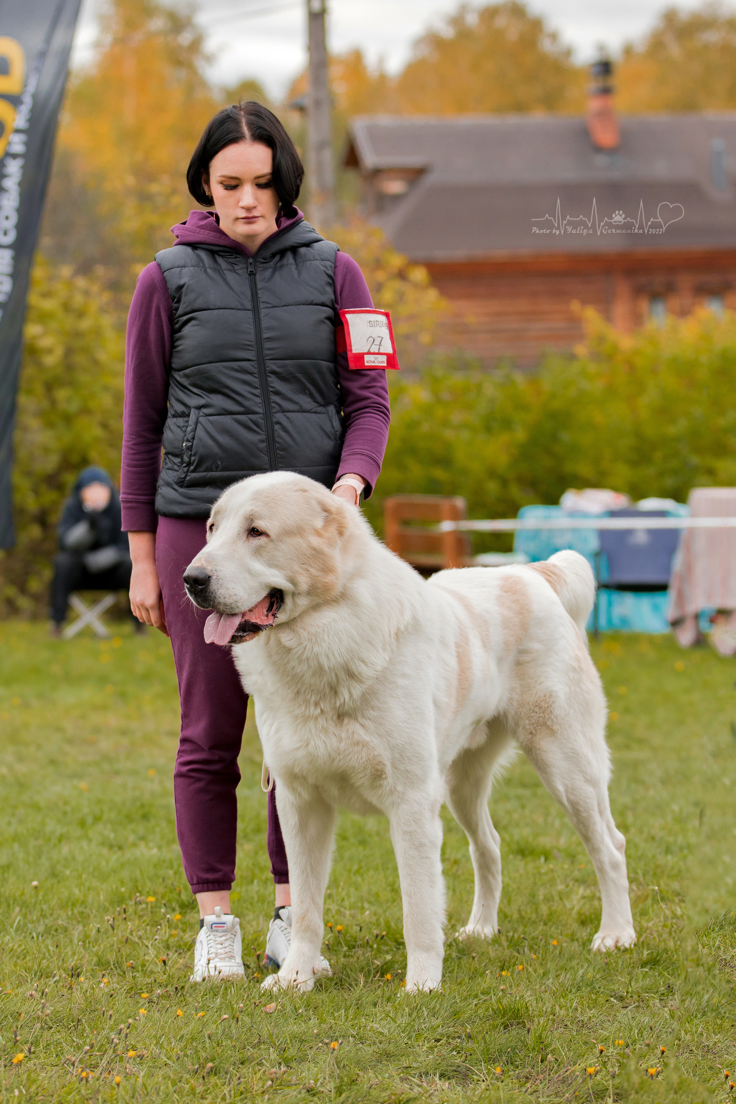Александрова Слобода моно сао 2.10.2022. Фотограф-анималист Юлия Германика
