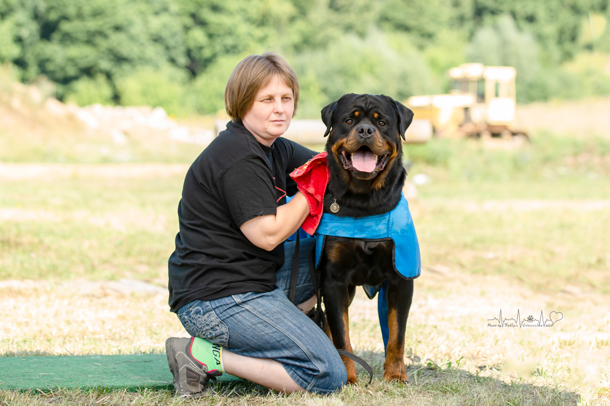 Рязань моно ротвейлеров 13.08.2022. Фотограф-анималист Юлия Германика