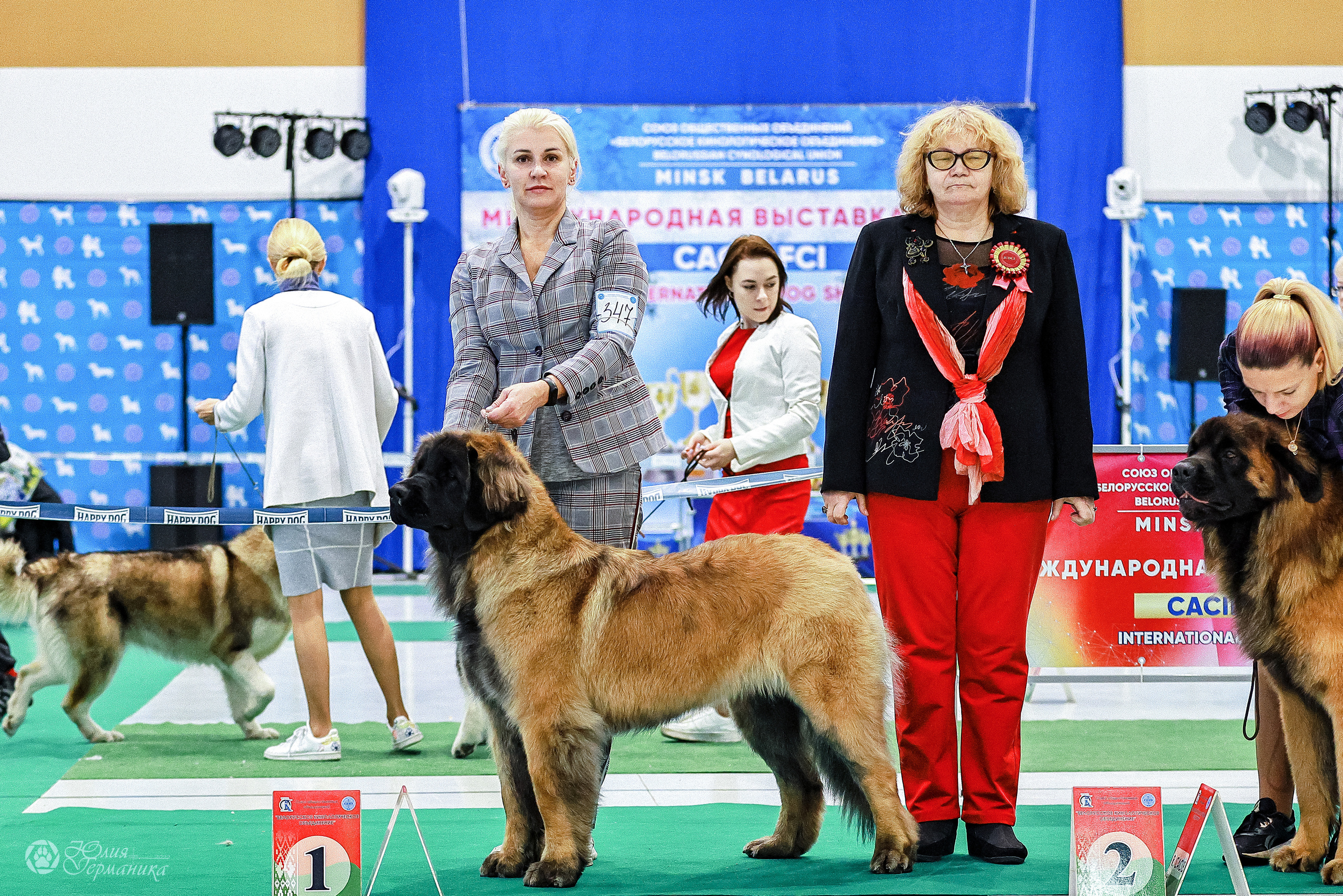Минск 19-20.11.2022. Фотограф-анималист Юлия Германика