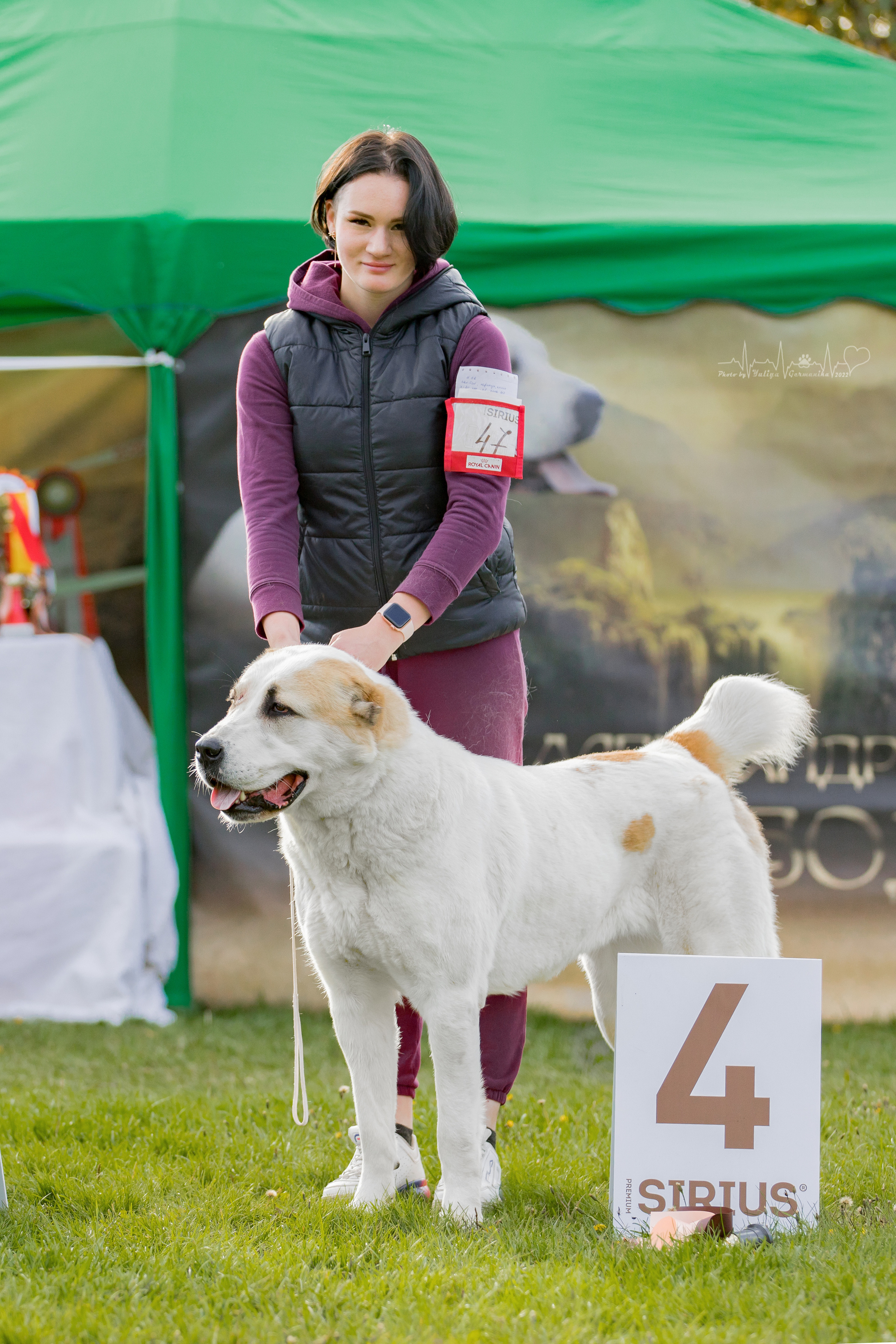 Александрова Слобода моно сао 2.10.2022. Фотограф-анималист Юлия Германика
