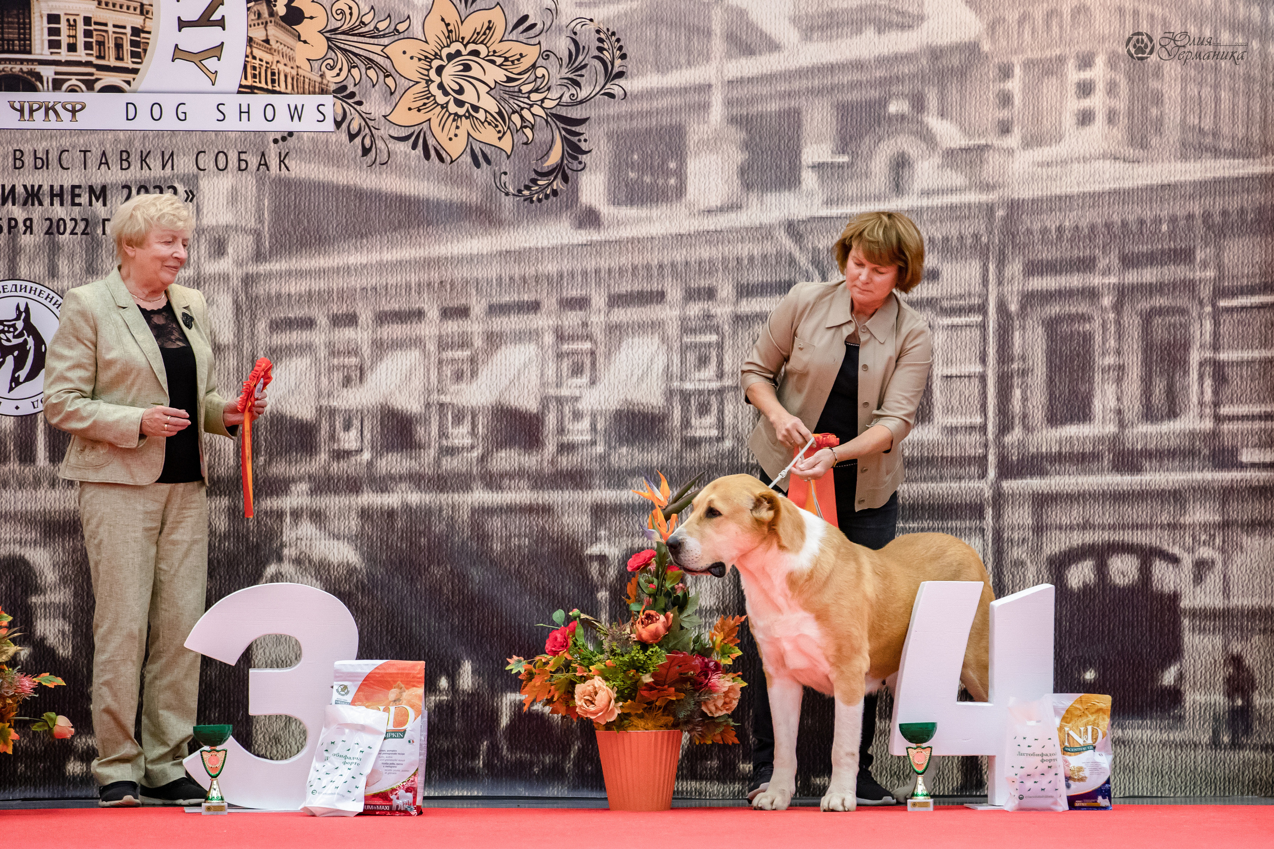 Нижний Новгород 15-16.10.2022. Фотограф-анималист Юлия Германика