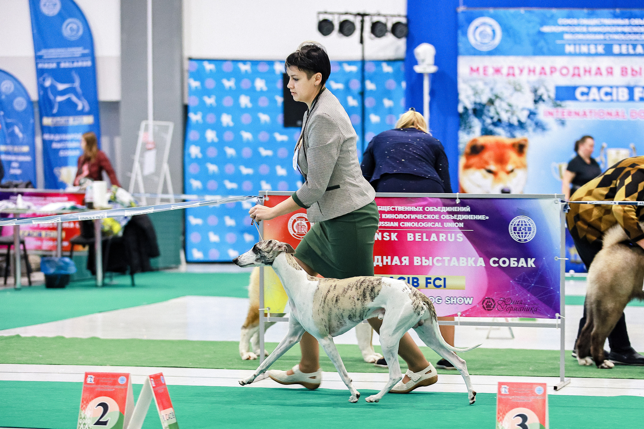 Минск 19-20.11.2022. Фотограф-анималист Юлия Германика