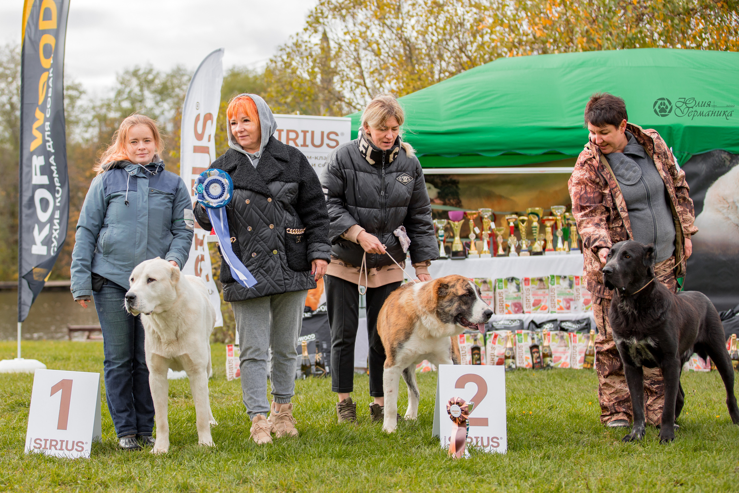 Александрова Слобода моно сао 2.10.2022. Фотограф-анималист Юлия Германика
