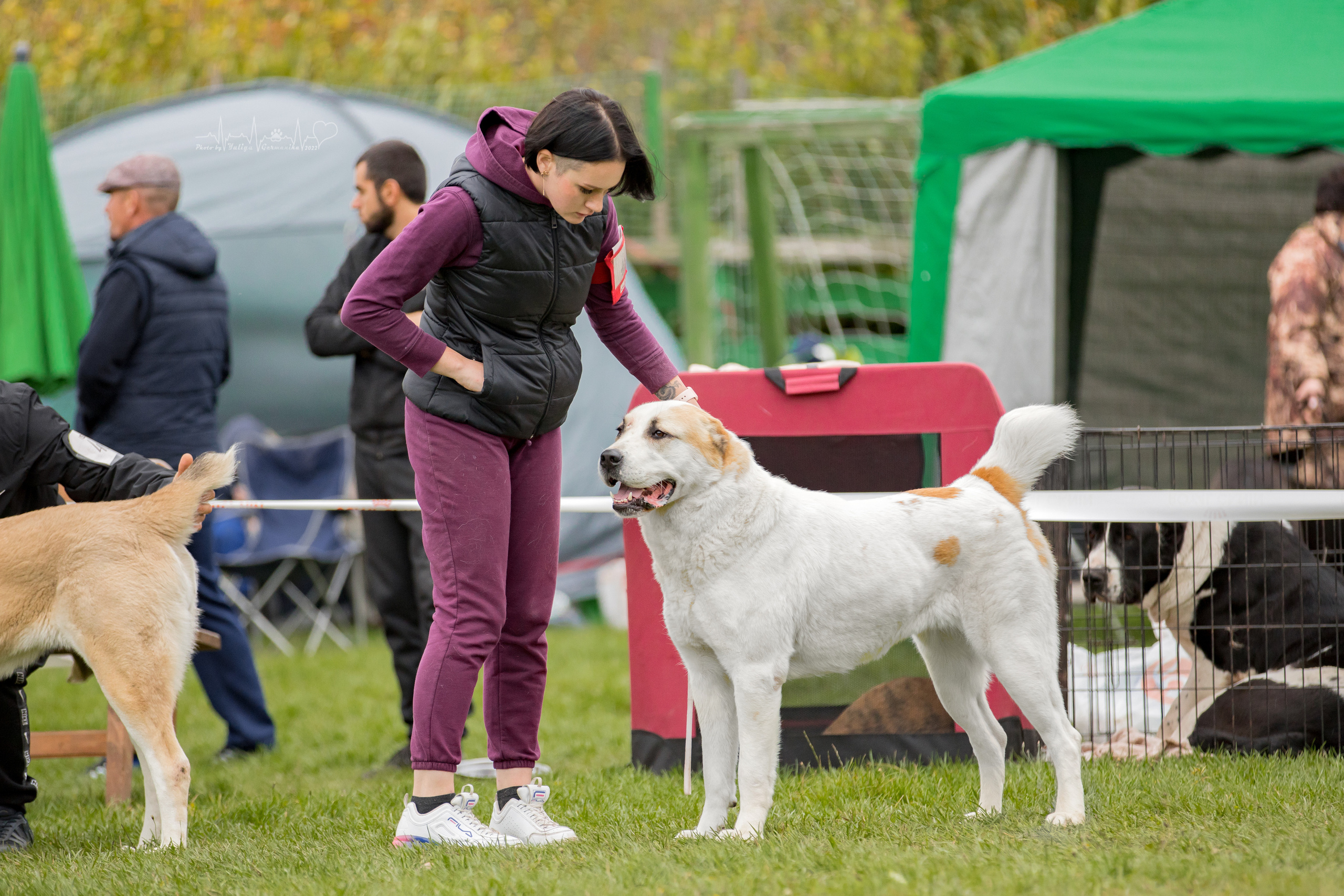 Александрова Слобода моно сао 2.10.2022. Фотограф-анималист Юлия Германика