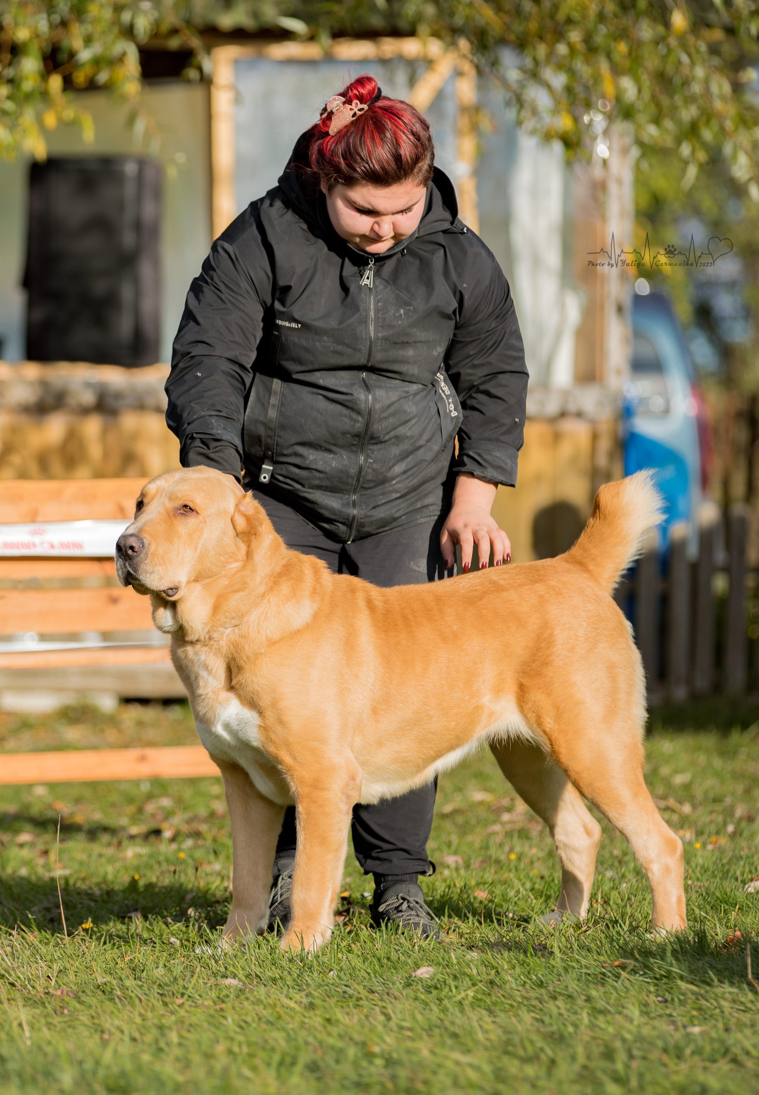 Александрова Слобода моно сао 2.10.2022. Фотограф-анималист Юлия Германика
