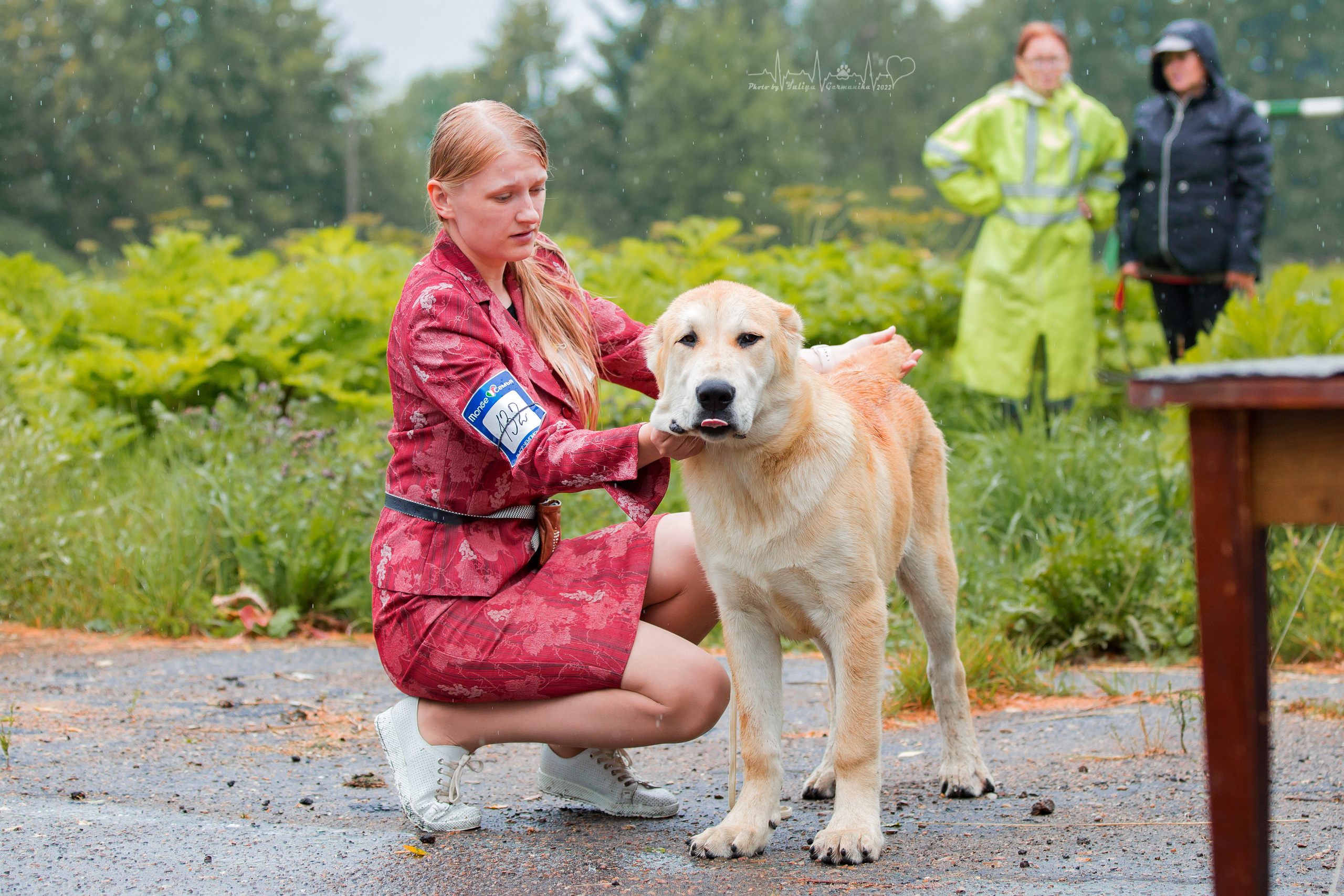 Ховрино 31.07,Чайна-Таун 6.08,Тверь 7.08. Фотограф-анималист Юлия Германика