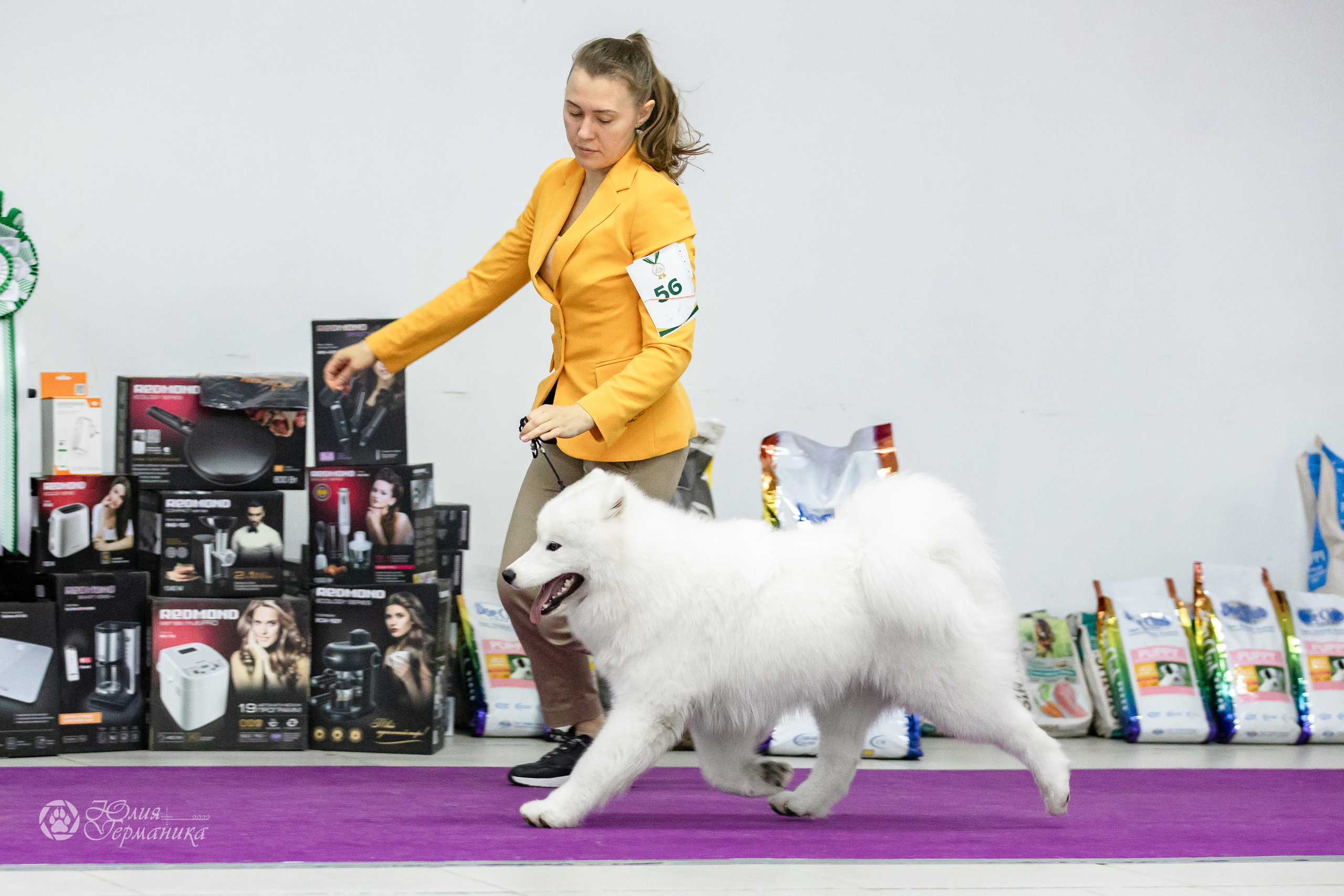 Чайна-Таун 29-30.10.2022. Фотограф-анималист Юлия Германика