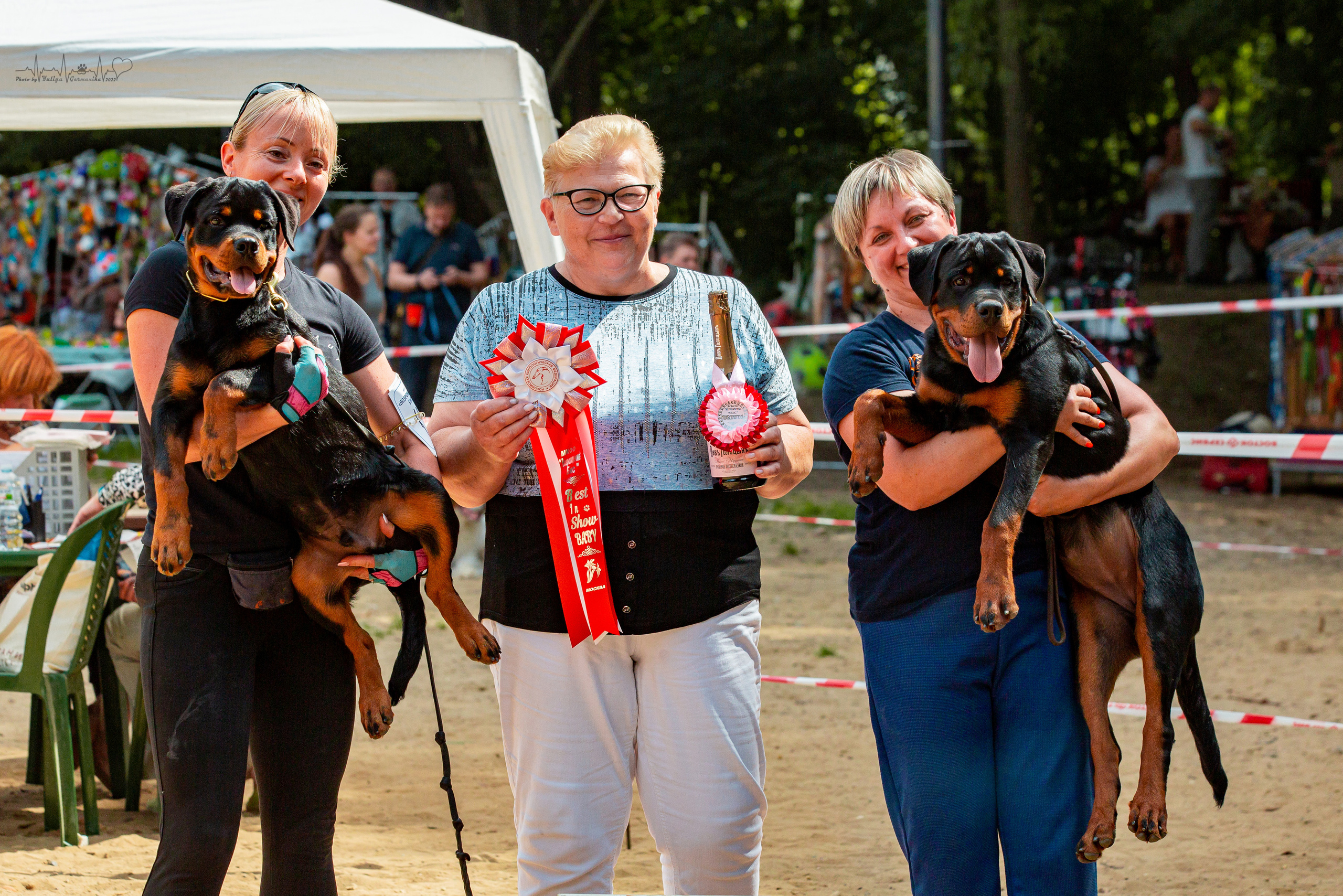Ховрино фестиваль монопородок 14.08.2022. Фотограф-анималист Юлия Германика
