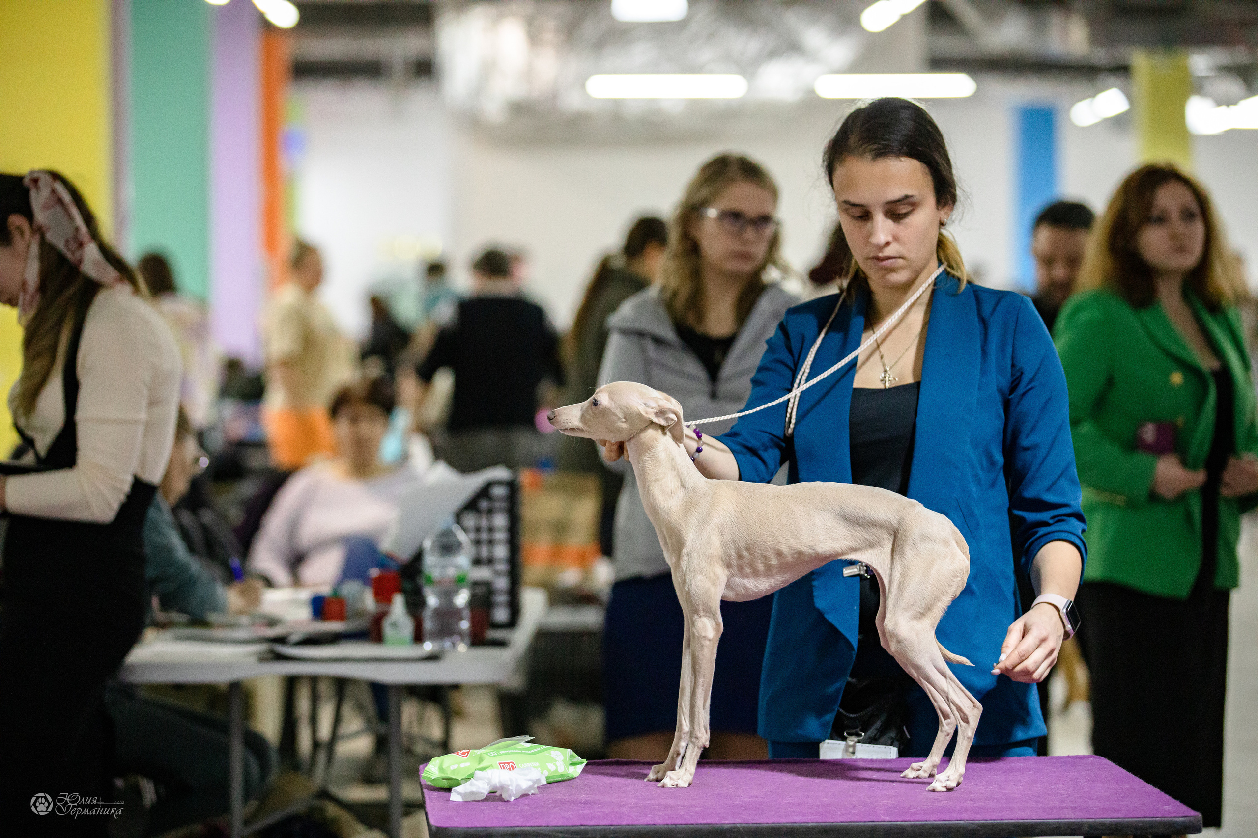 Чайна-Таун 29-30.10.2022. Фотограф-анималист Юлия Германика