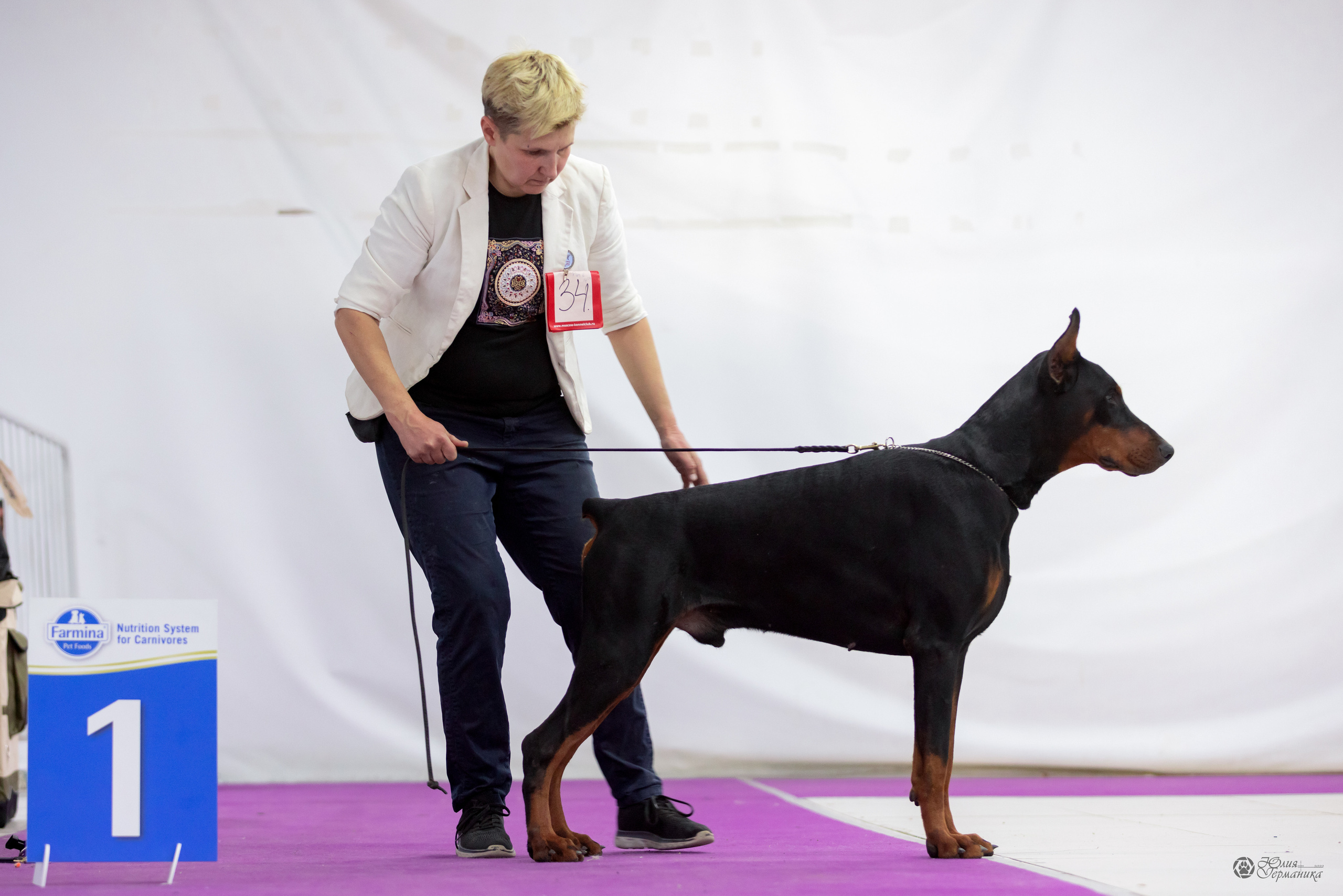 Чайна-Таун 3 и 12.11.2022. Фотограф-анималист Юлия Германика