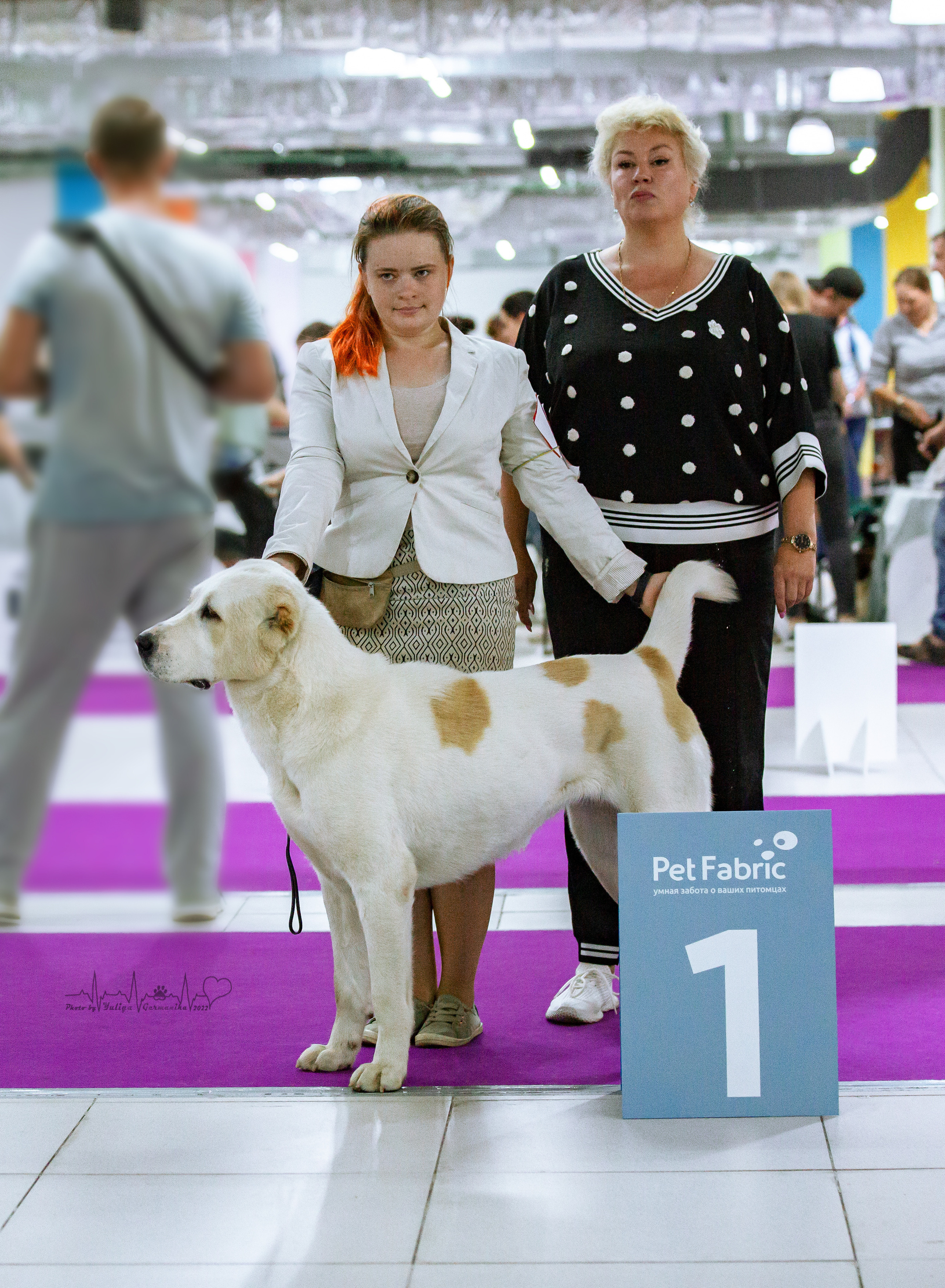 Ховрино 31.07,Чайна-Таун 6.08,Тверь 7.08. Фотограф-анималист Юлия Германика