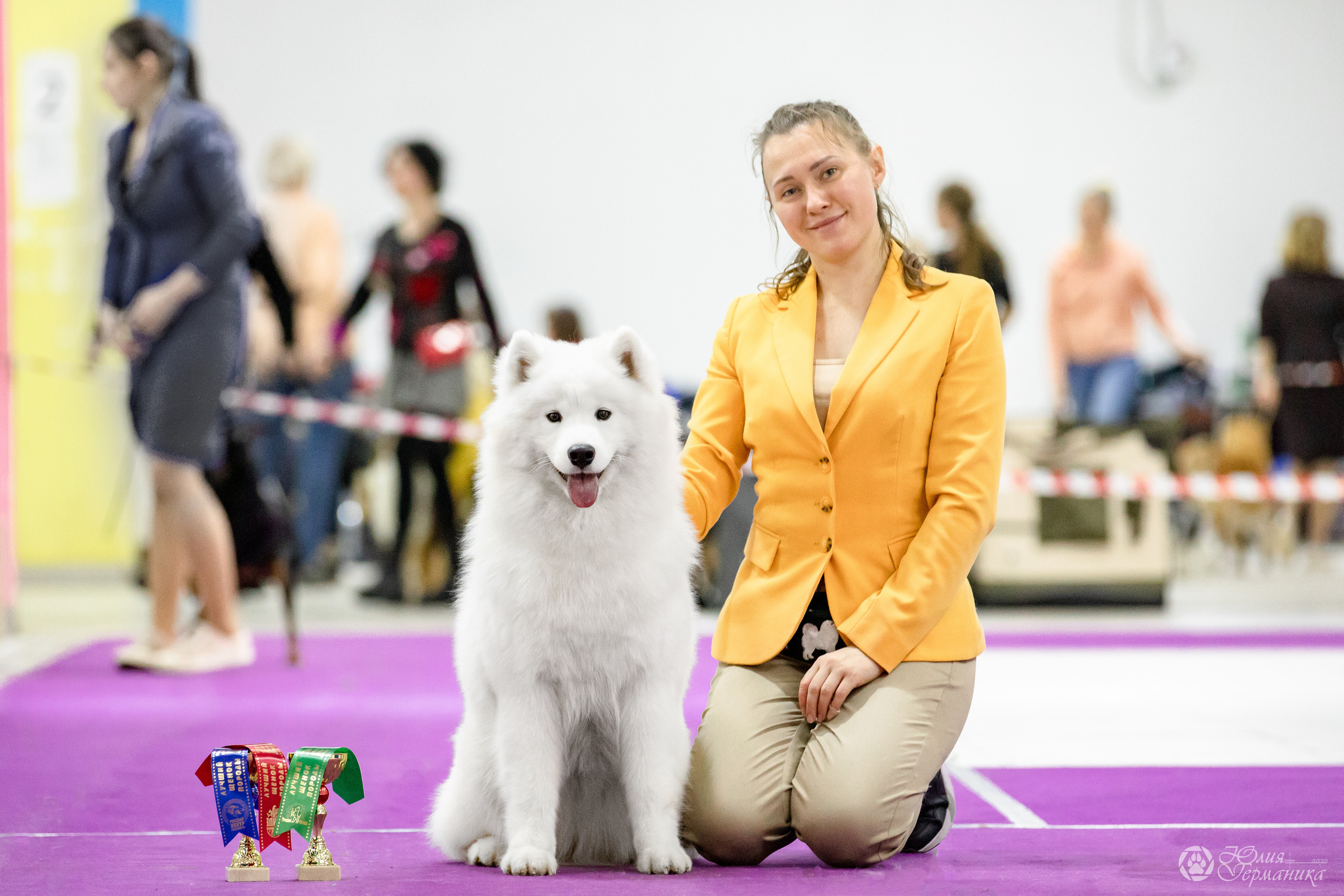 Чайна-Таун 29-30.10.2022. Фотограф-анималист Юлия Германика