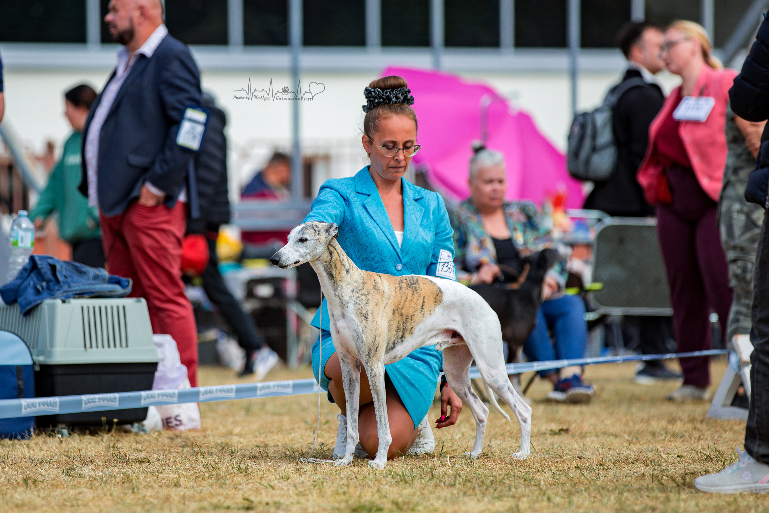 Минск 2хCACIB 3-4.09.2022. Фотограф-анималист Юлия Германика