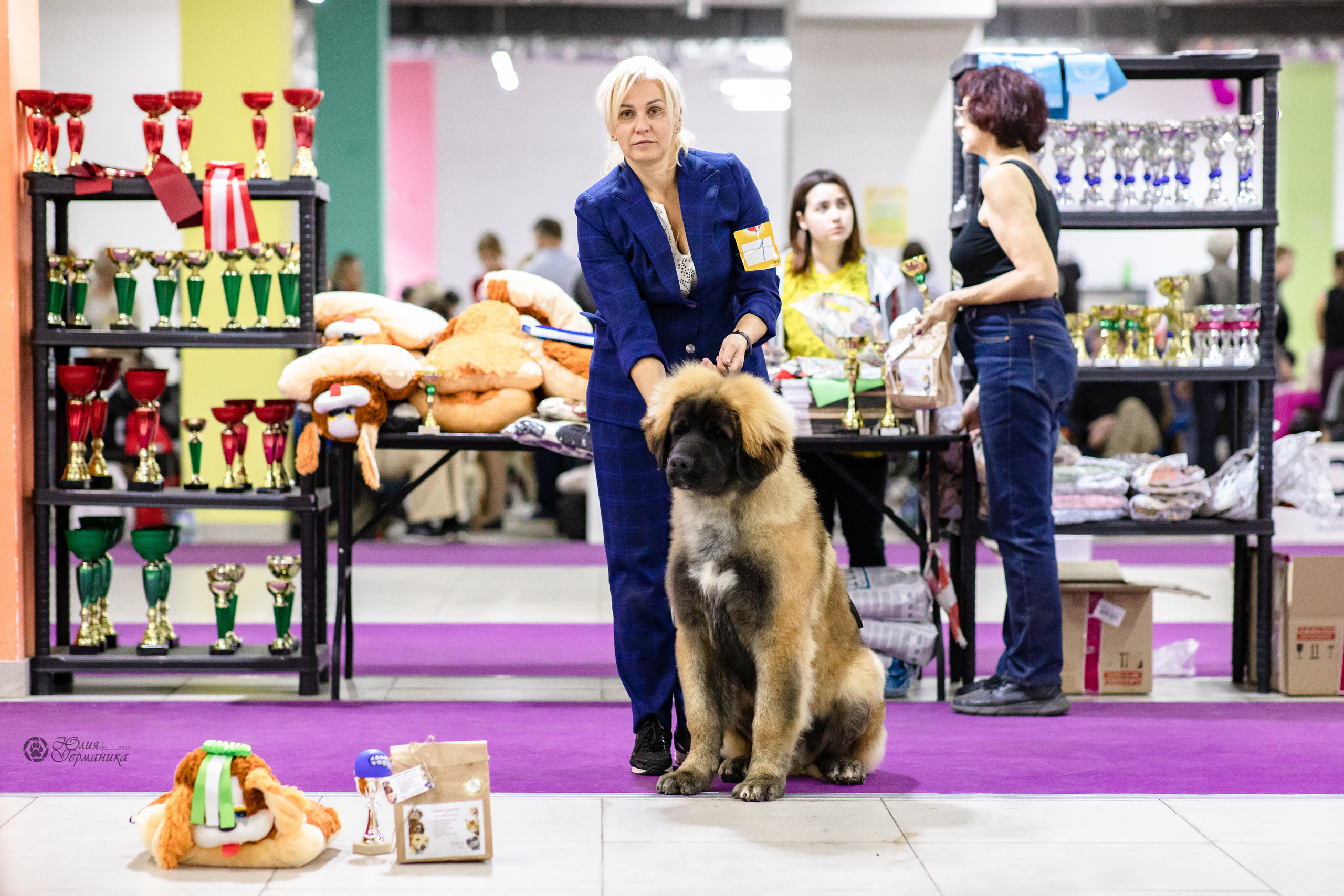 Чайна-Таун 29-30.10.2022. Фотограф-анималист Юлия Германика