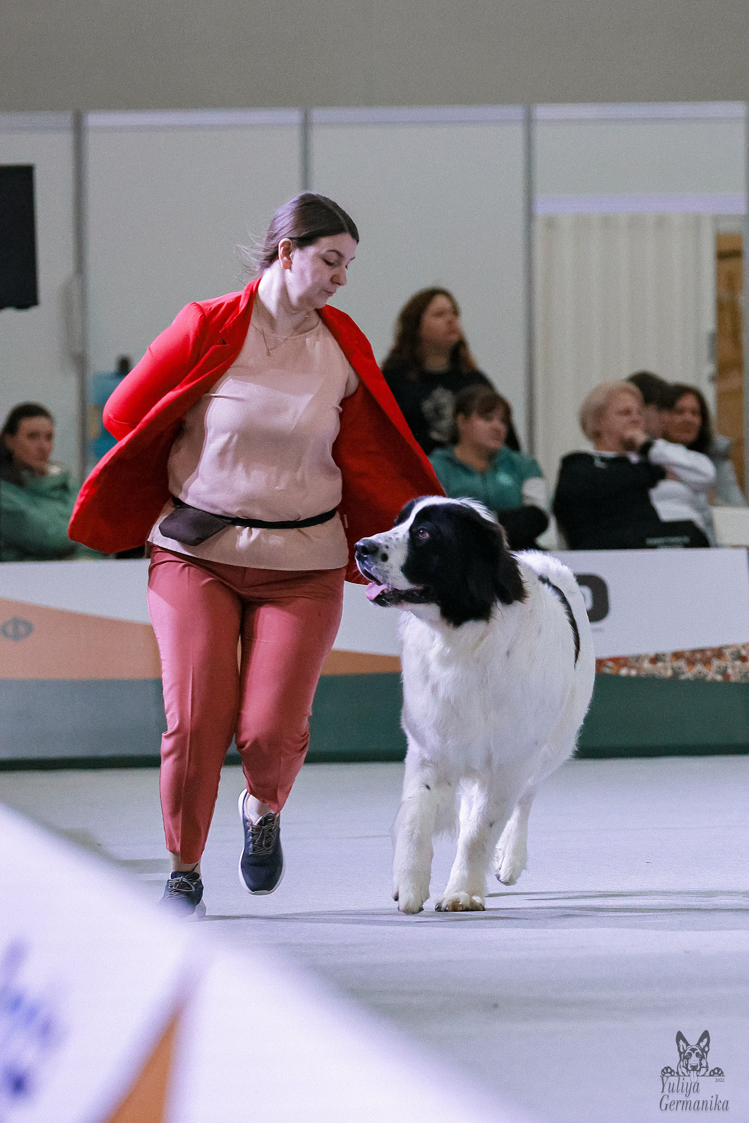 Россия 2020-2022 26-27.11.2022. Фотограф-анималист Юлия Германика