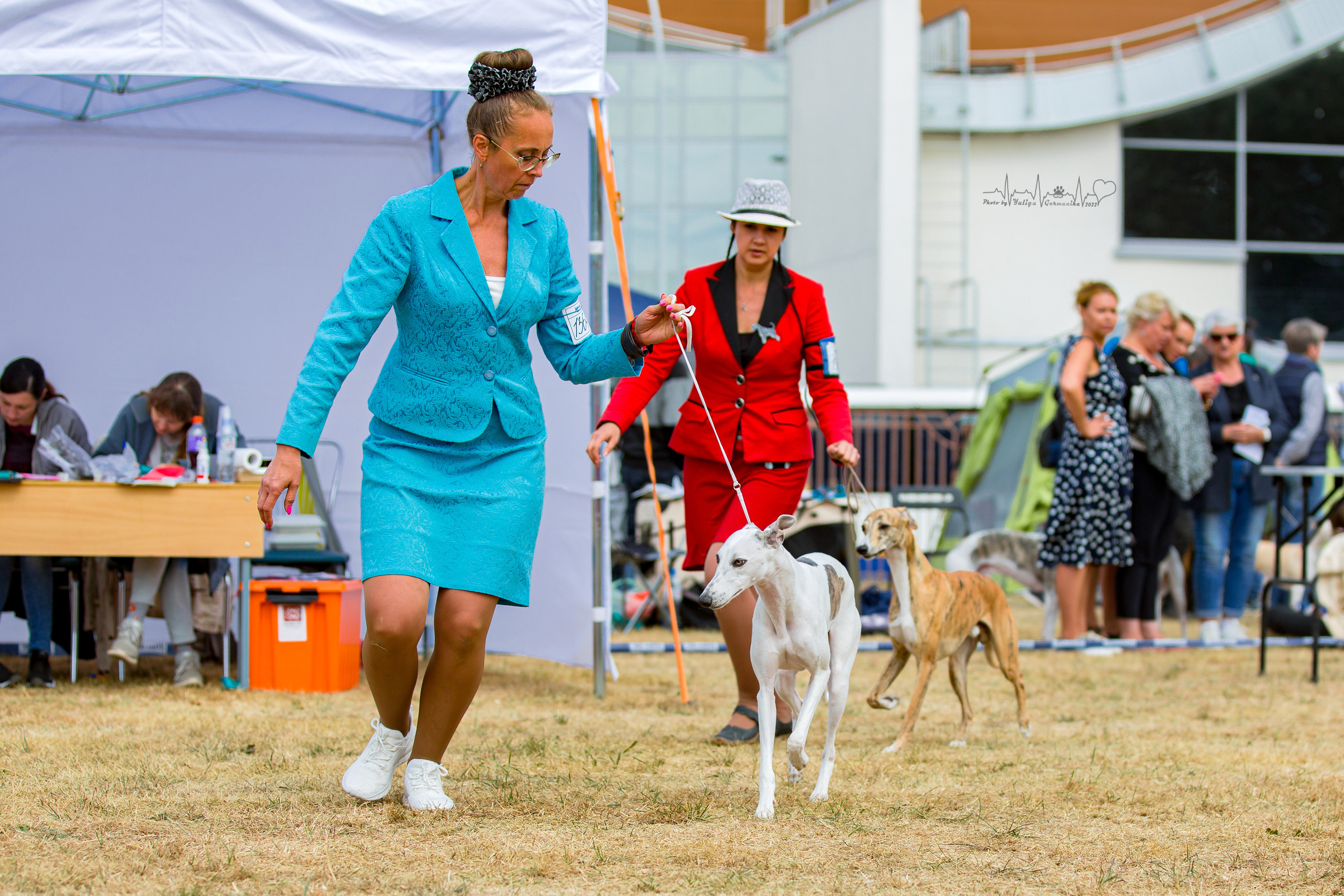 Минск 2хCACIB 3-4.09.2022. Фотограф-анималист Юлия Германика