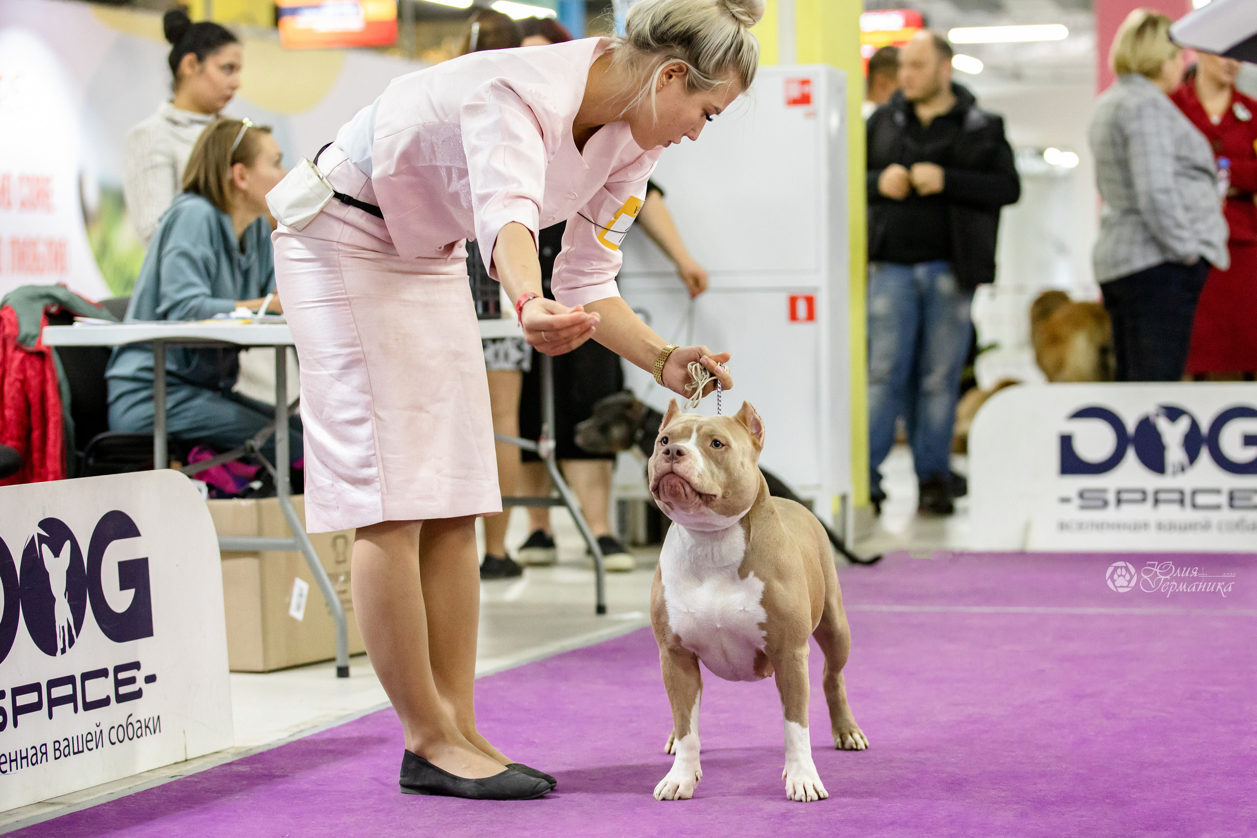 Чайна-Таун 29-30.10.2022. Фотограф-анималист Юлия Германика