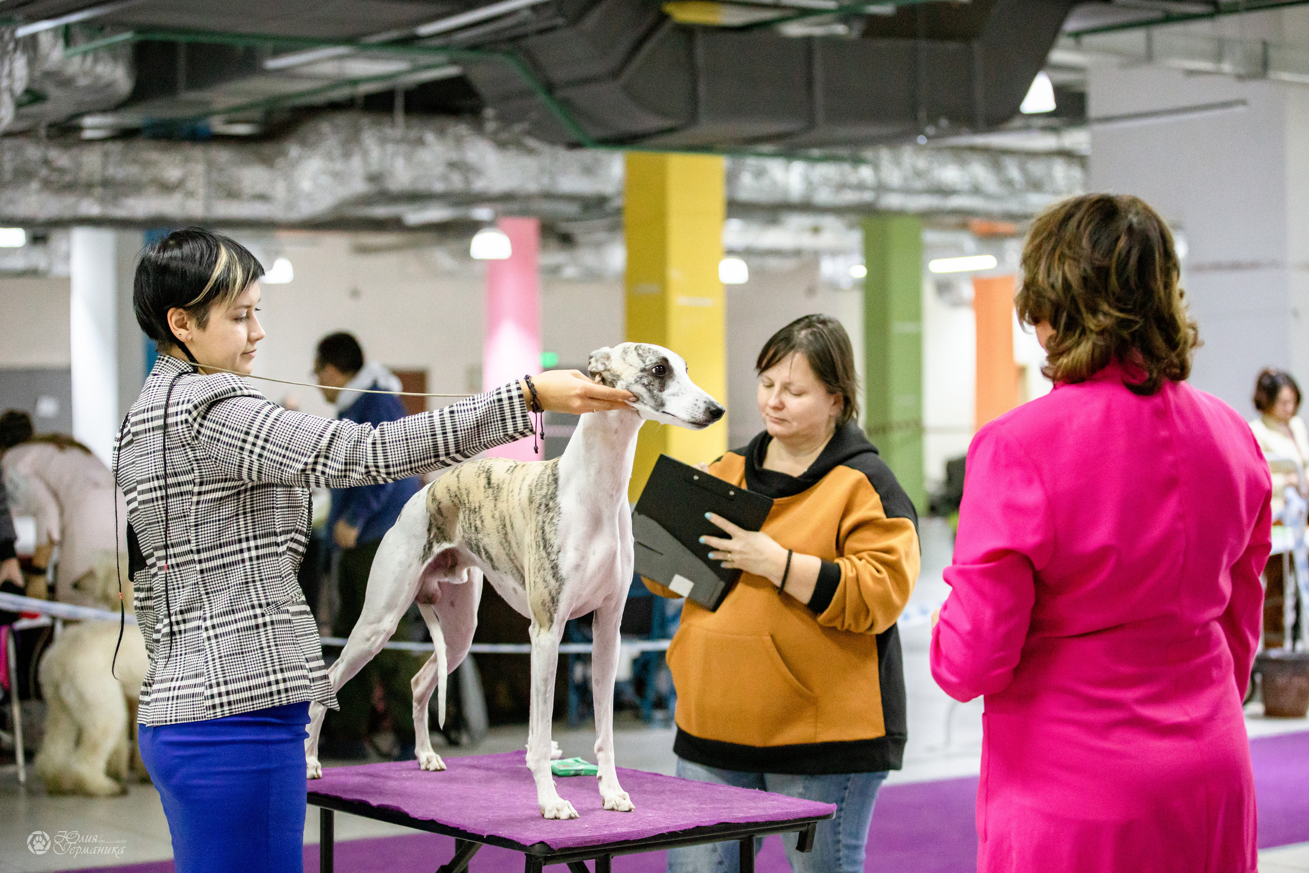 Чайна-Таун 29-30.10.2022. Фотограф-анималист Юлия Германика