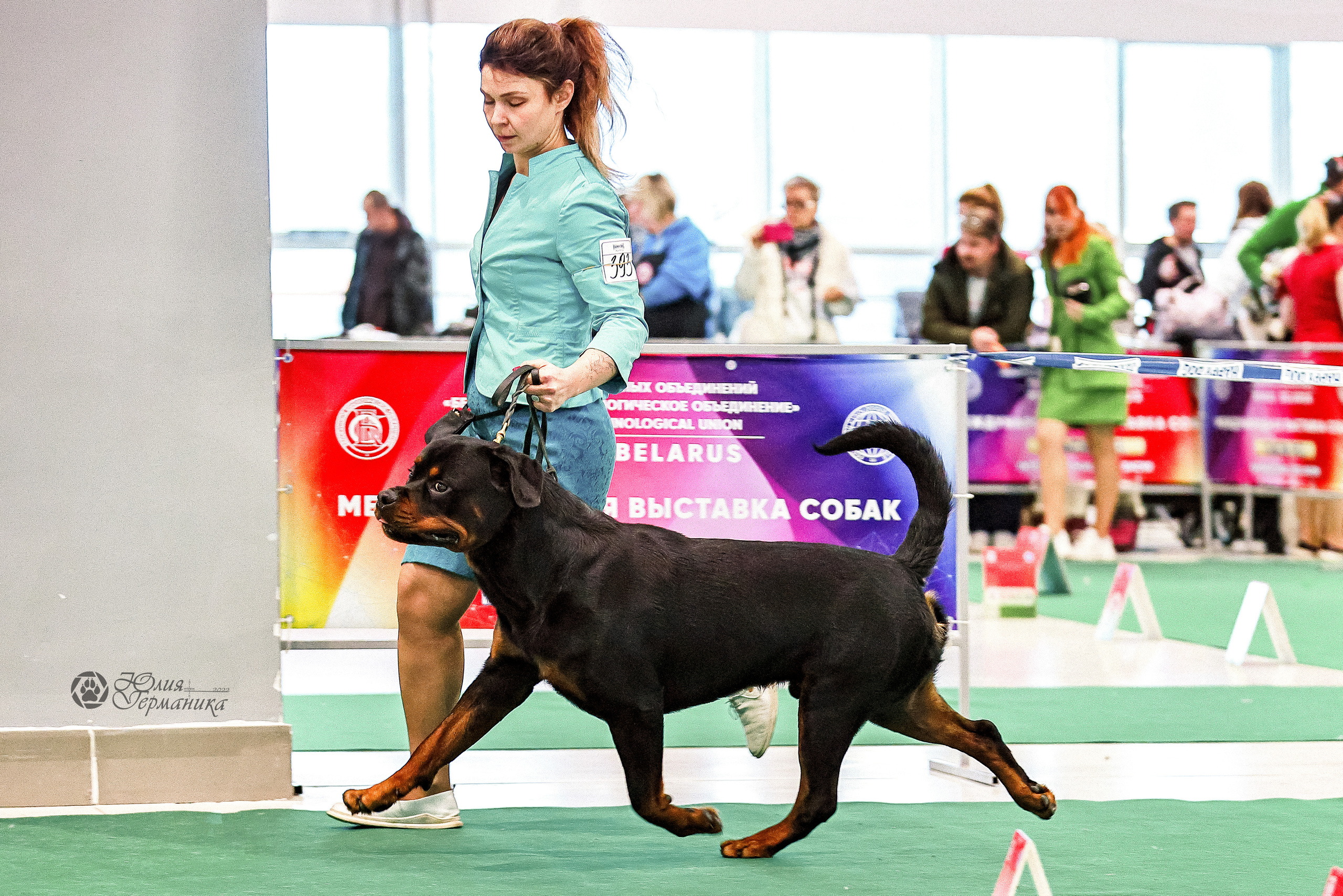 Минск 19-20.11.2022. Фотограф-анималист Юлия Германика