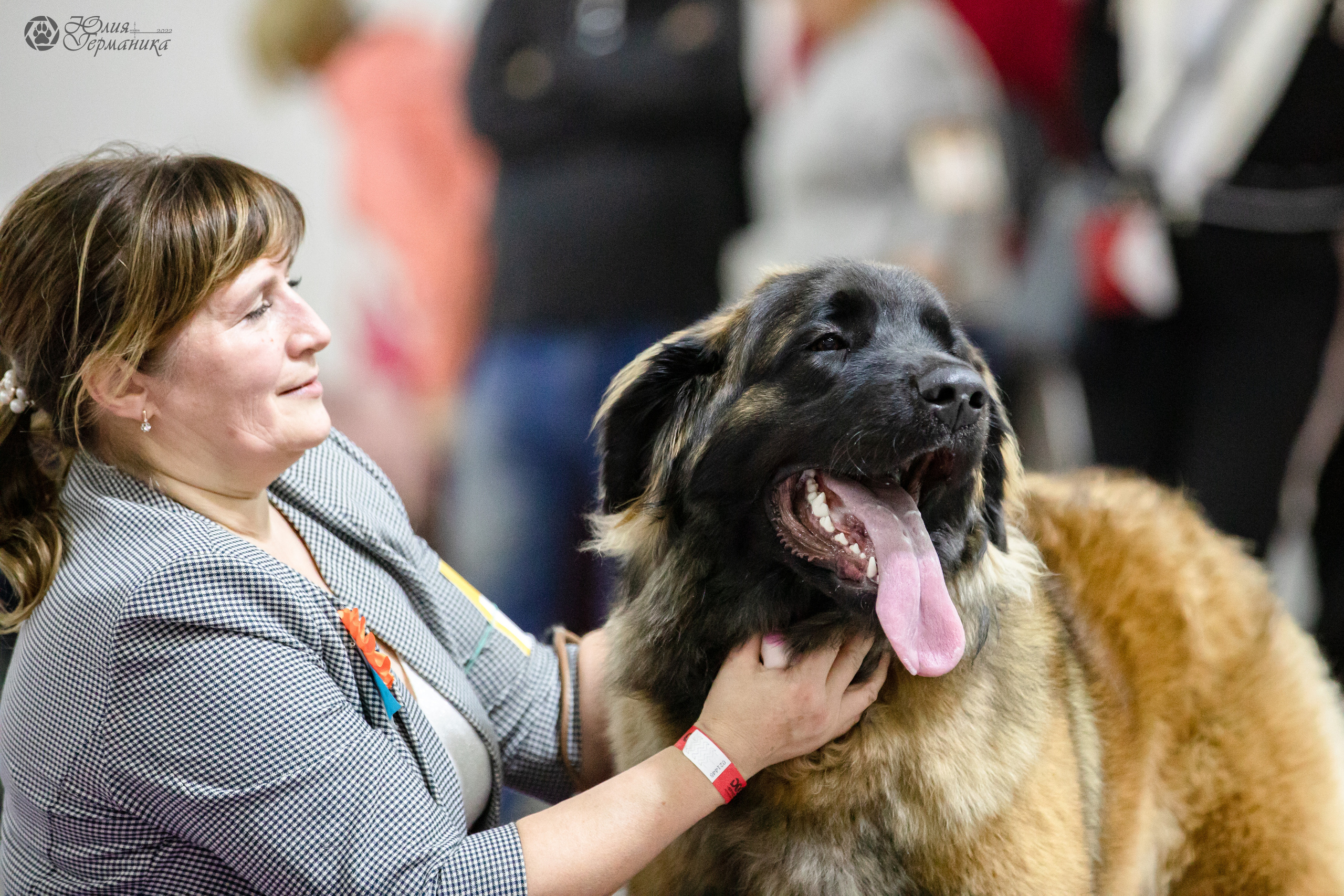 Чайна-Таун 29-30.10.2022. Фотограф-анималист Юлия Германика