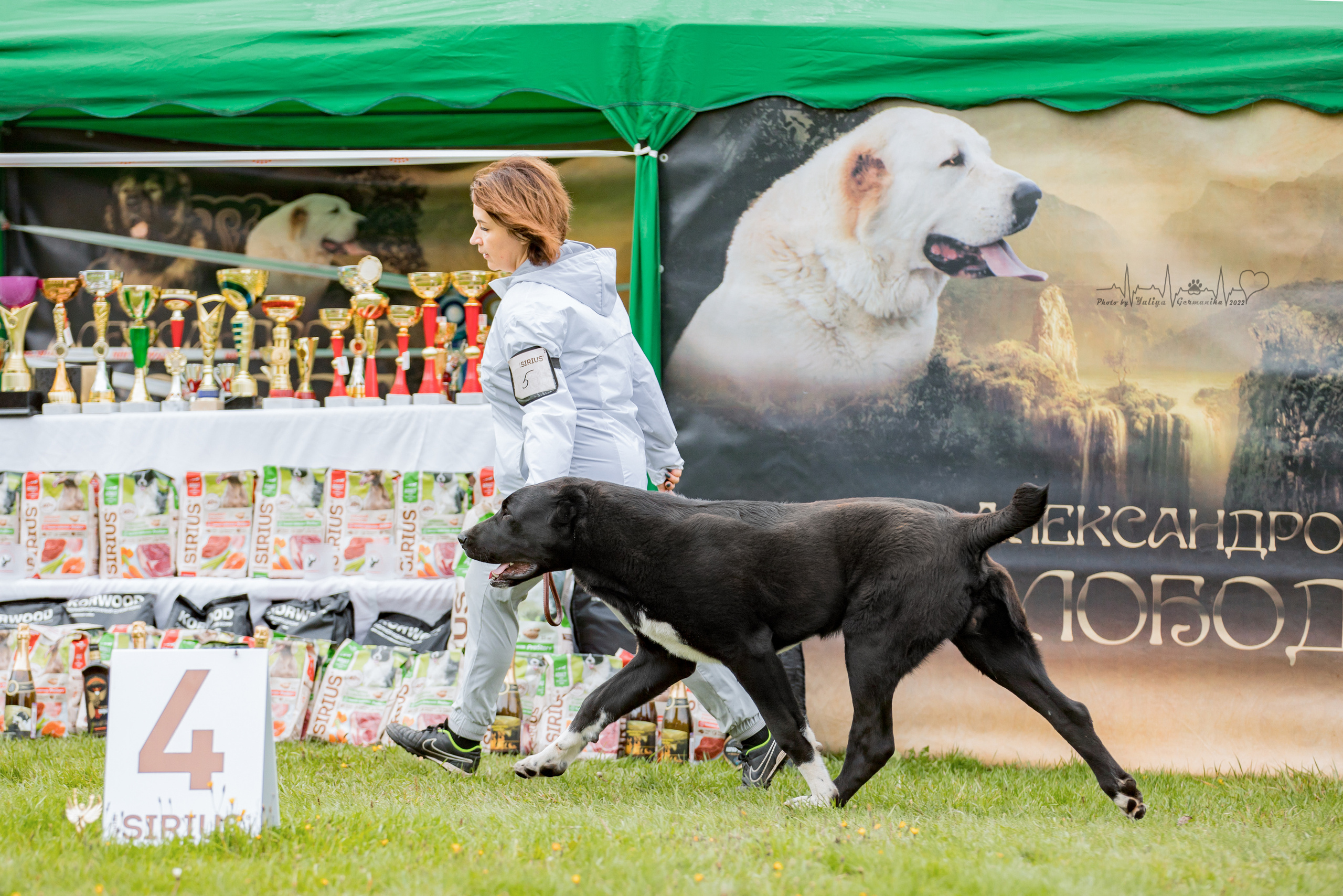 Александрова Слобода моно сао 2.10.2022. Фотограф-анималист Юлия Германика