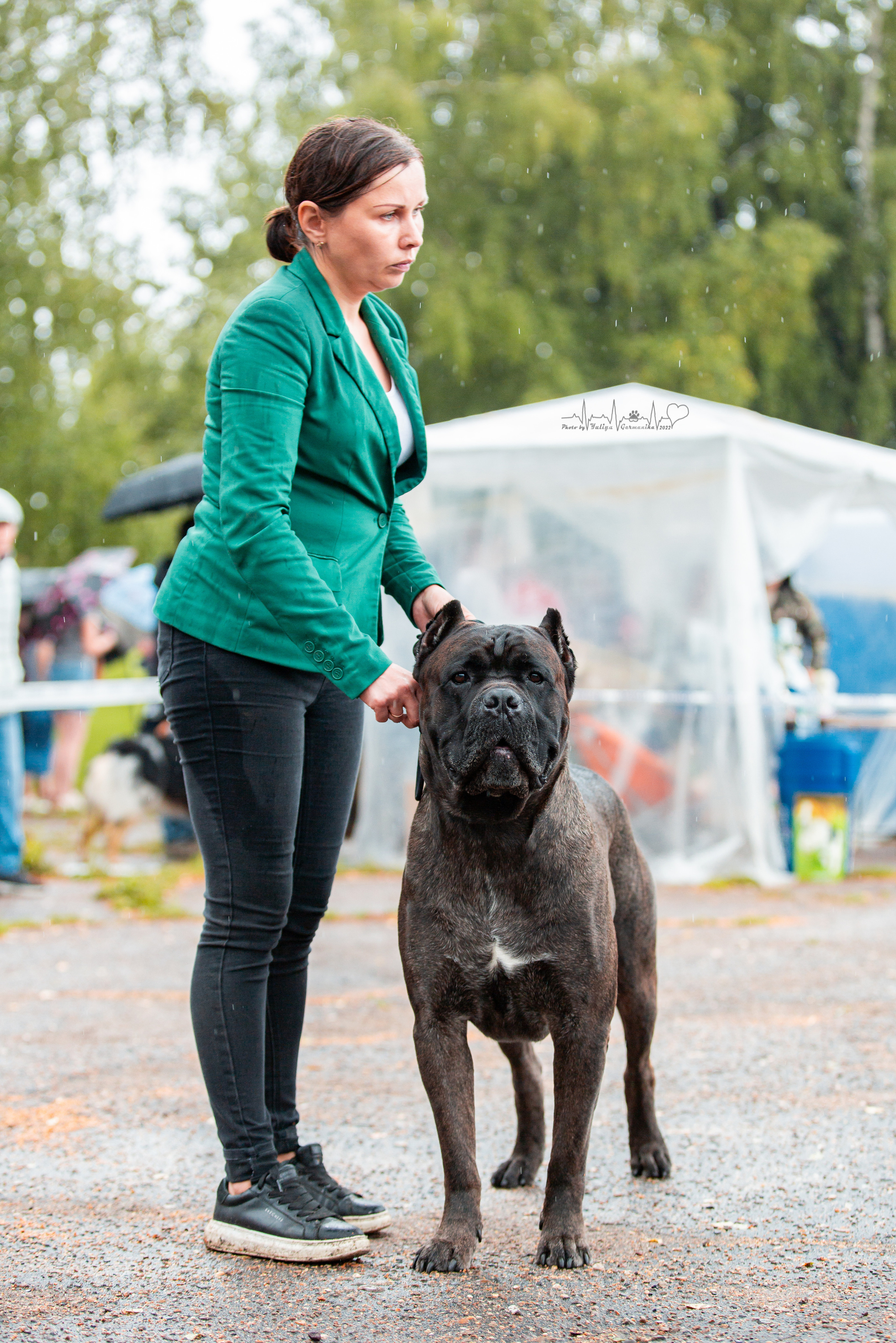 Ховрино 31.07,Чайна-Таун 6.08,Тверь 7.08. Фотограф-анималист Юлия Германика