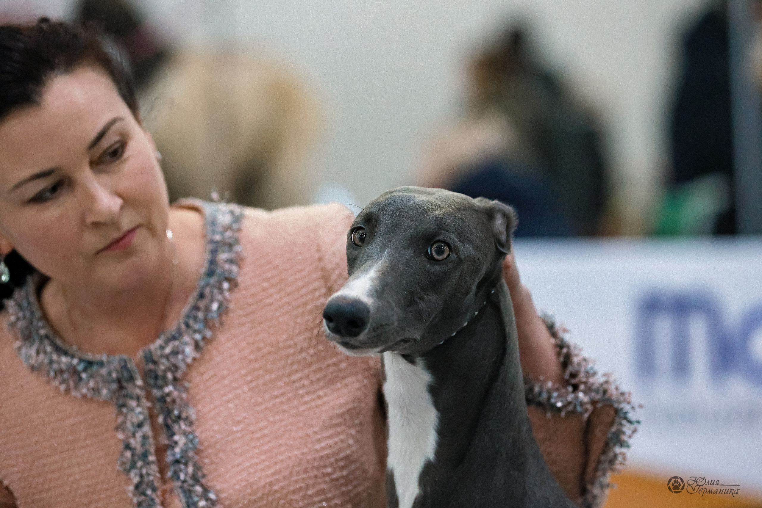 Россия 2020-2022 26-27.11.2022. Фотограф-анималист Юлия Германика