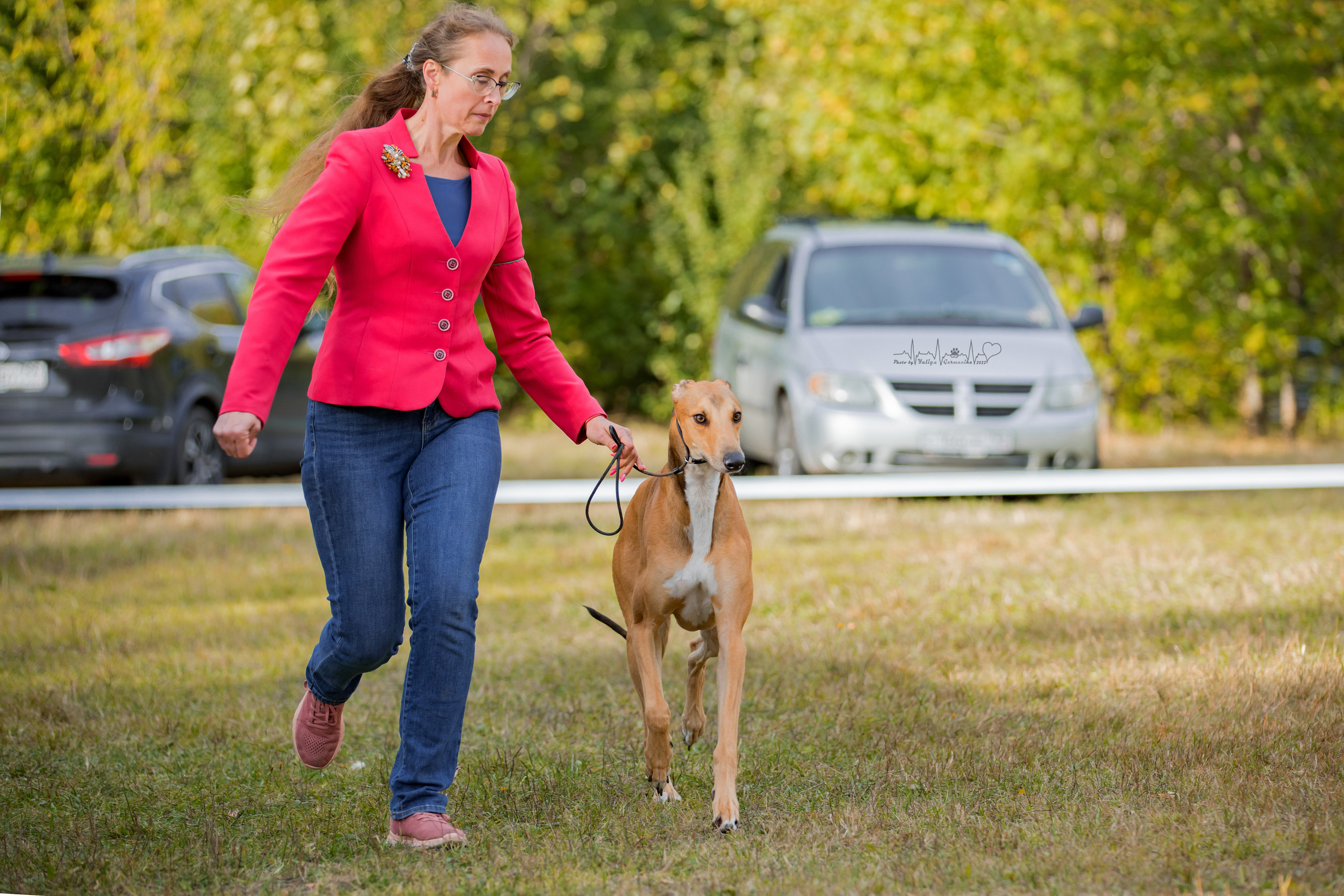 Пушкино ЧРКФ 17.09.2022. Фотограф-анималист Юлия Германика
