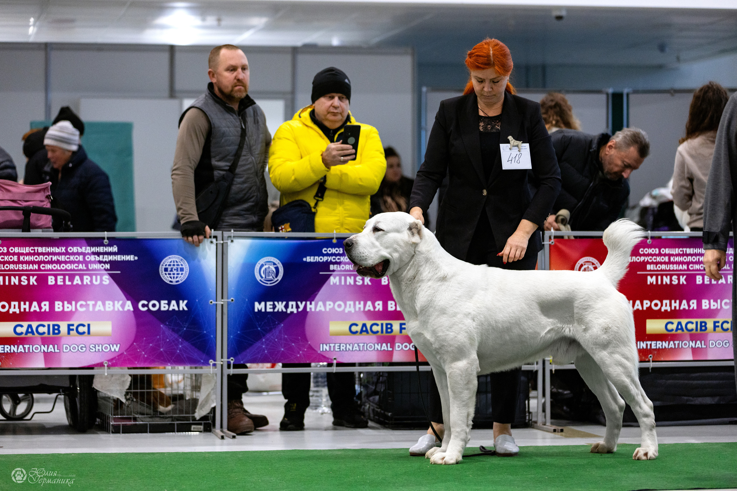 Минск 19-20.11.2022. Фотограф-анималист Юлия Германика