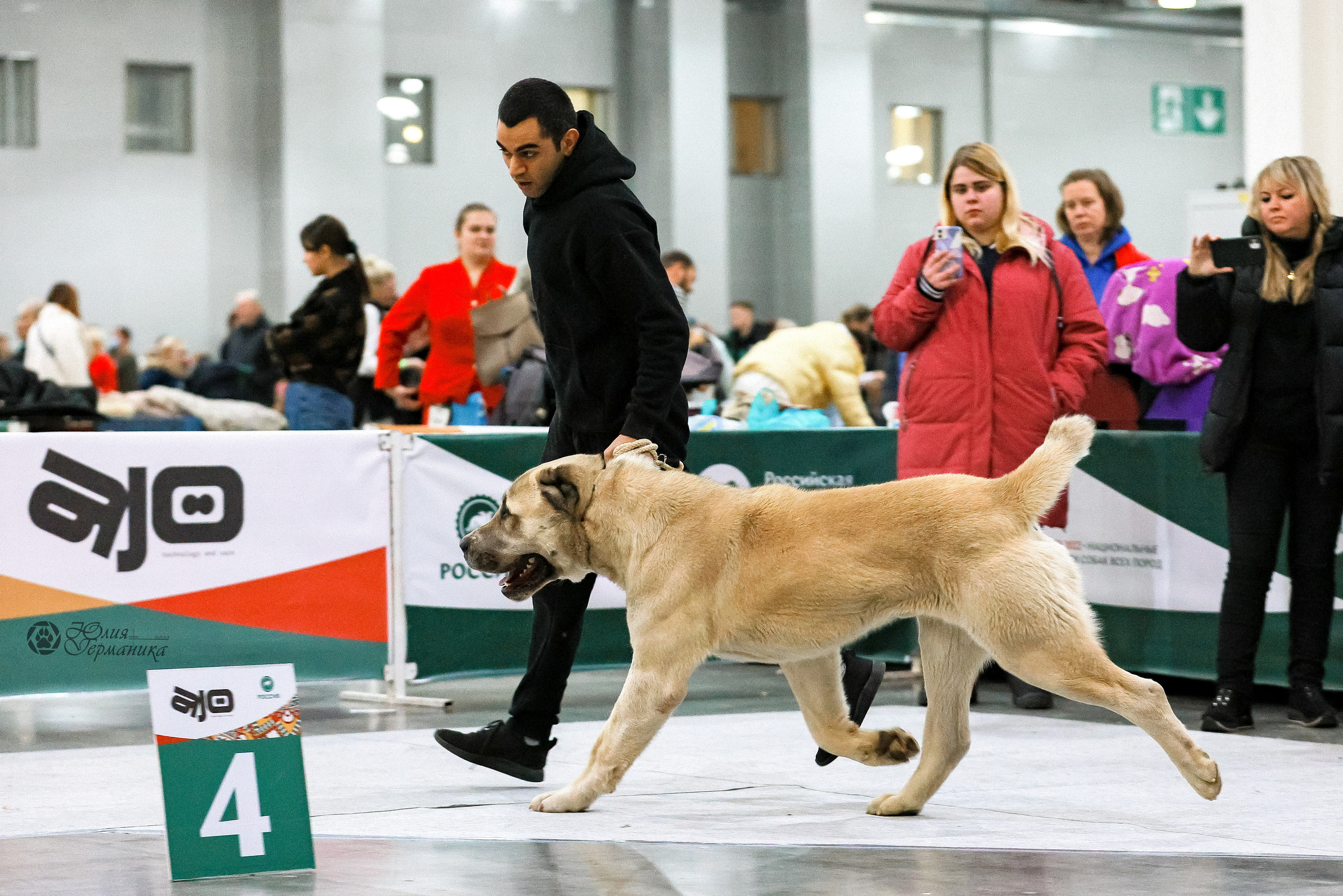 Россия 2020-2022 26-27.11.2022. Фотограф-анималист Юлия Германика