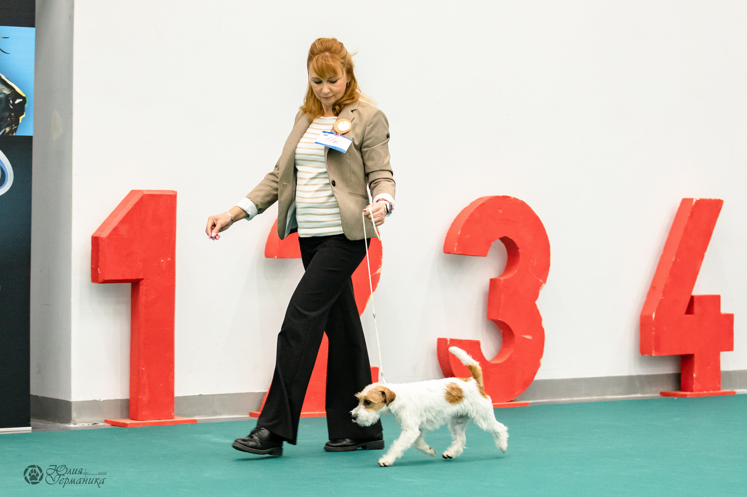 Нижний Новгород 15-16.10.2022. Фотограф-анималист Юлия Германика