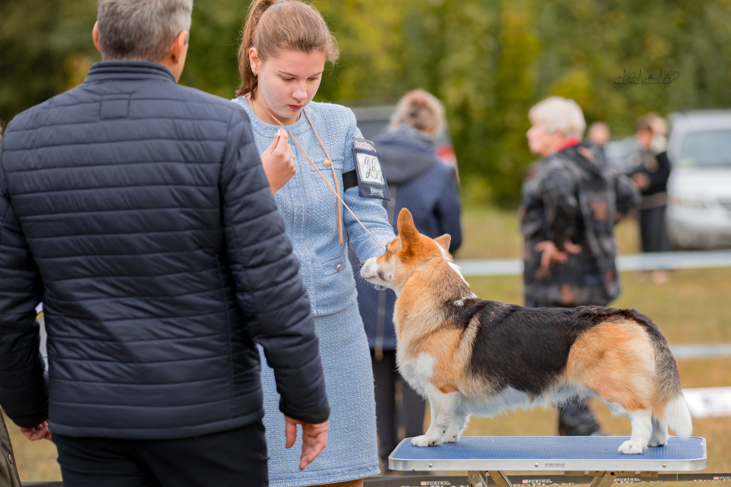Пушкино ЧРКФ 17.09.2022. Фотограф-анималист Юлия Германика