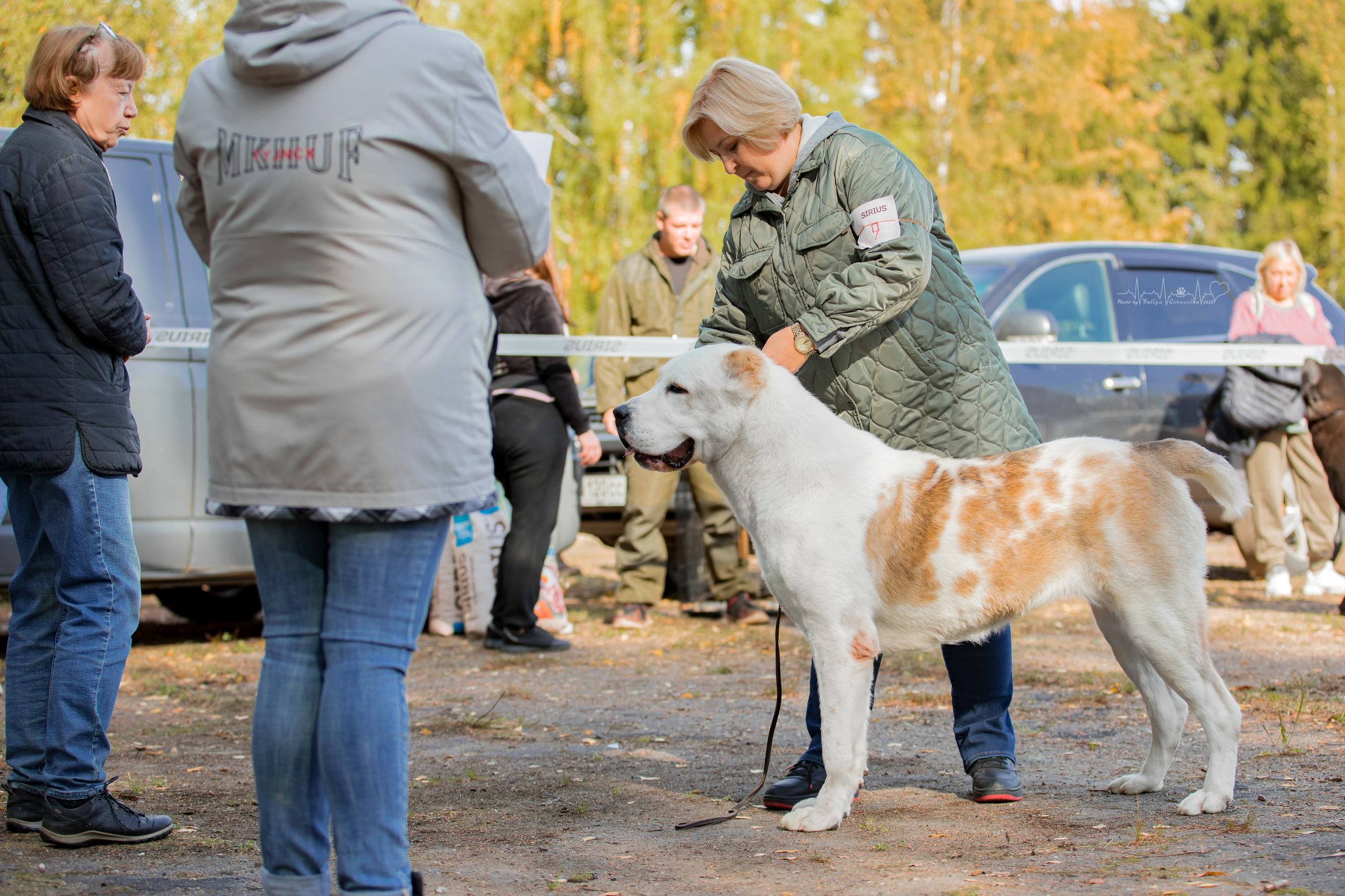 Тверь ЧРКФ 18.09.2022. Фотограф-анималист Юлия Германика