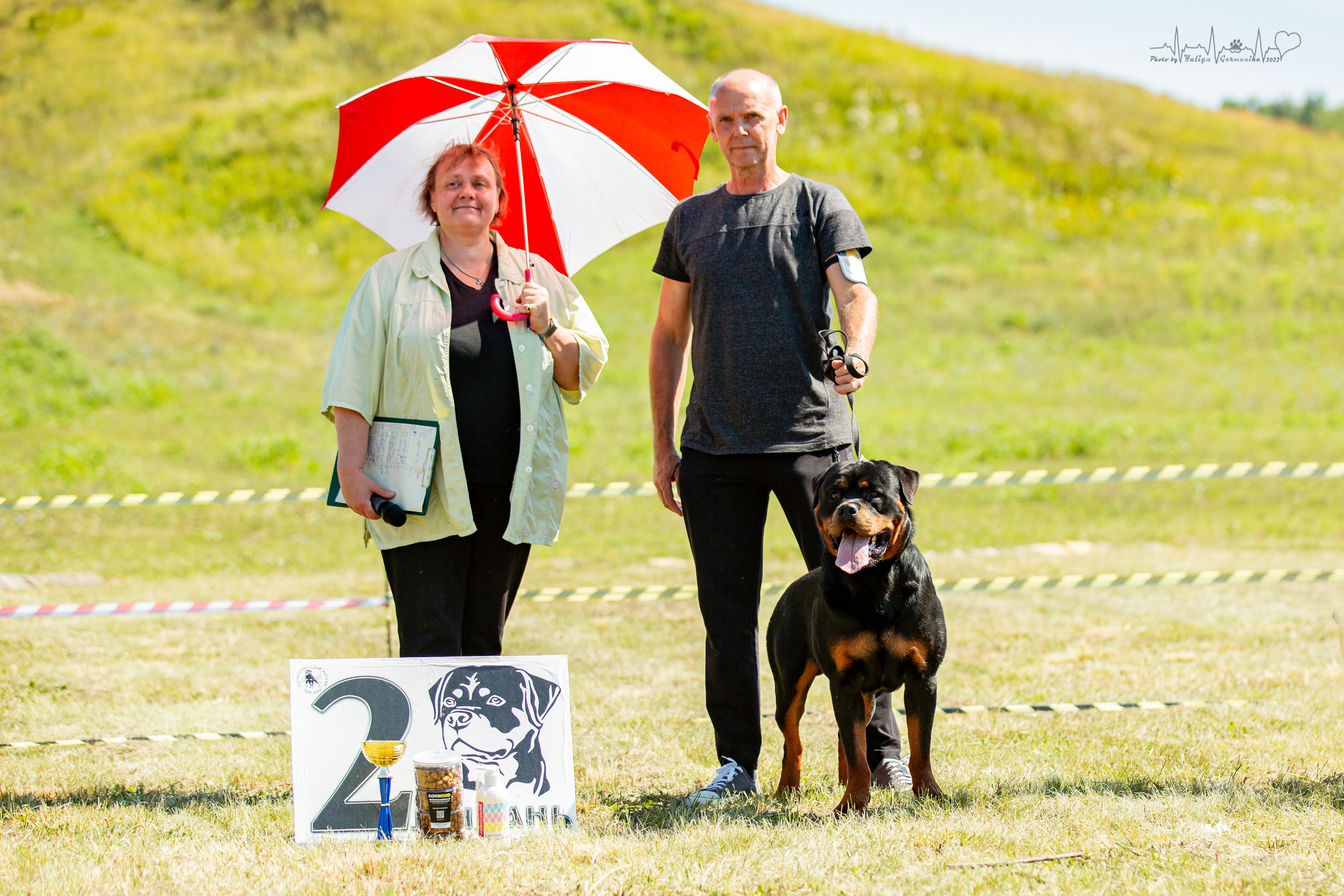 Рязань моно ротвейлеров 13.08.2022. Фотограф-анималист Юлия Германика