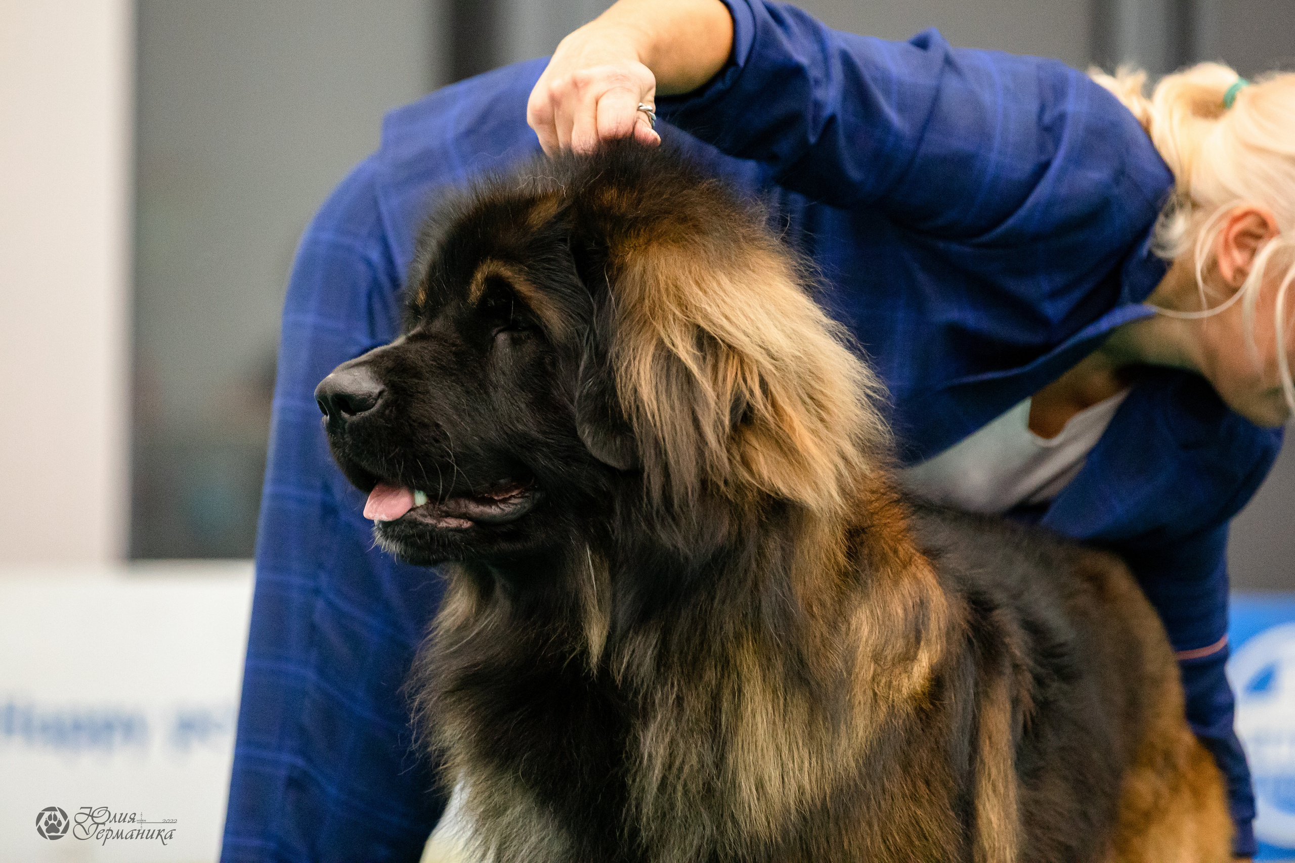 Нижний Новгород 15-16.10.2022. Фотограф-анималист Юлия Германика