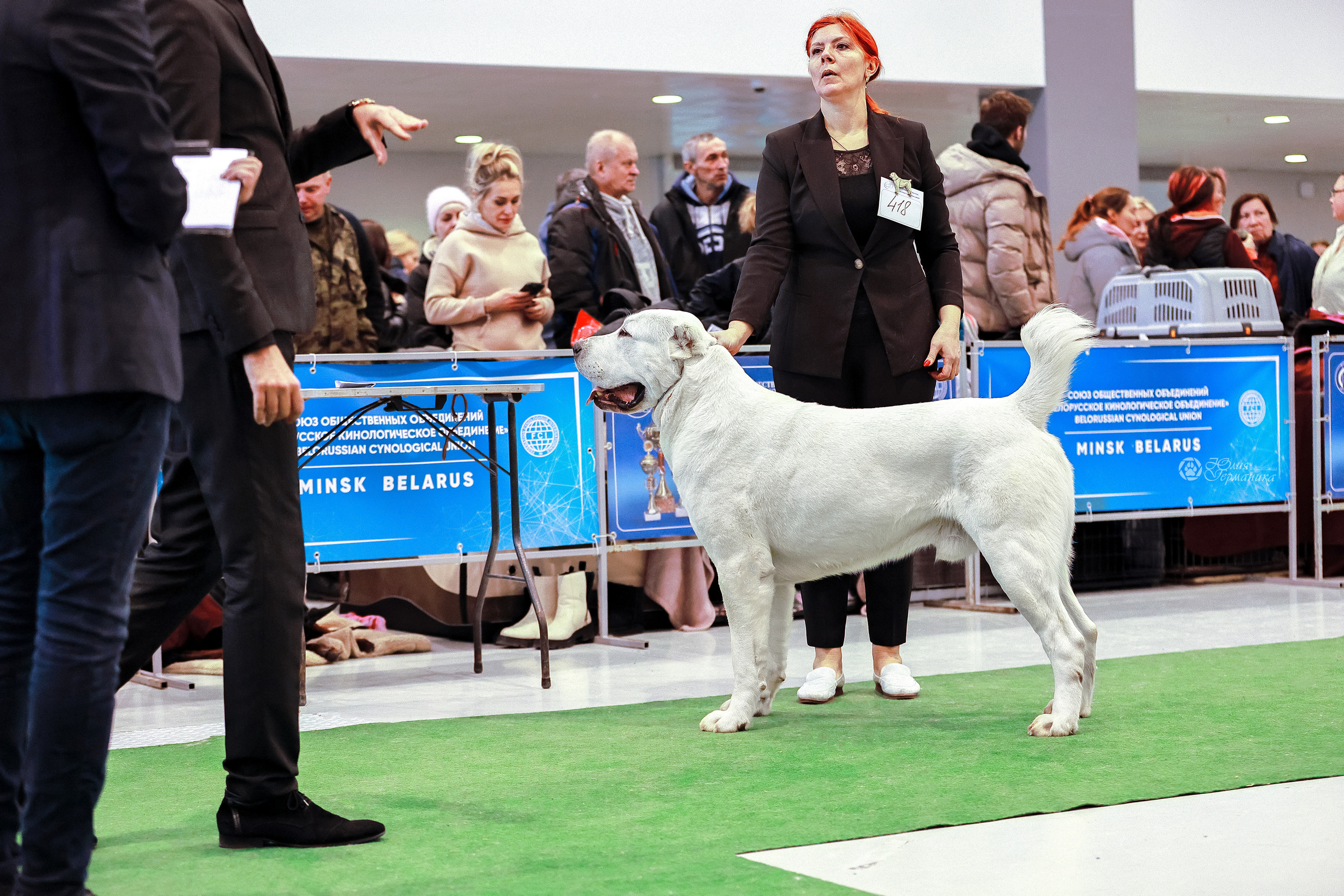 Минск 19-20.11.2022. Фотограф-анималист Юлия Германика