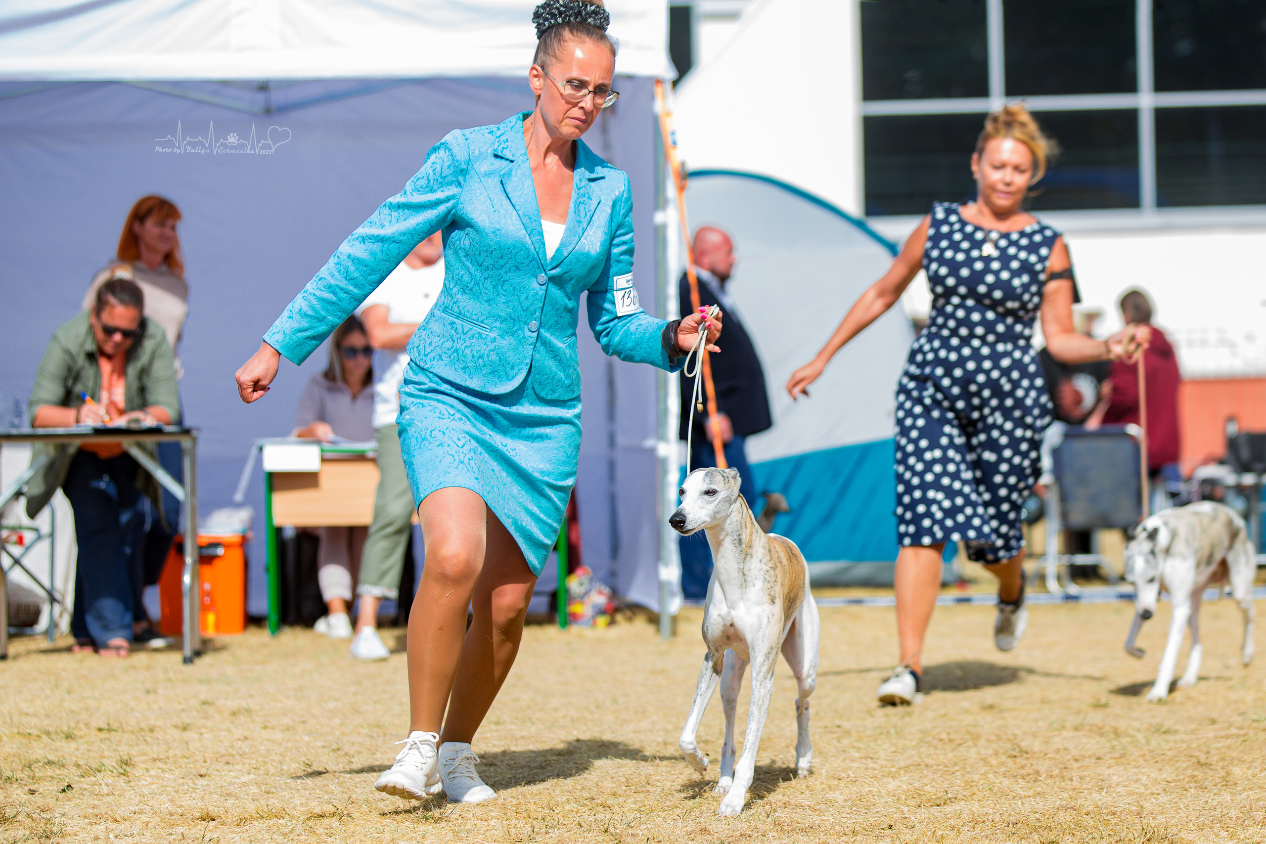 Минск 2хCACIB 3-4.09.2022. Фотограф-анималист Юлия Германика