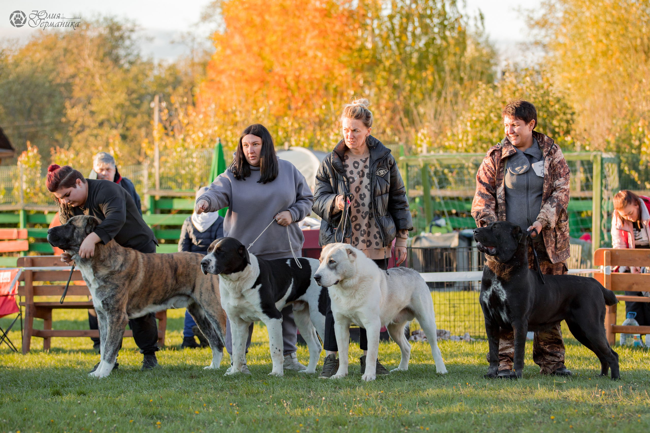 Александрова Слобода моно сао 2.10.2022. Фотограф-анималист Юлия Германика